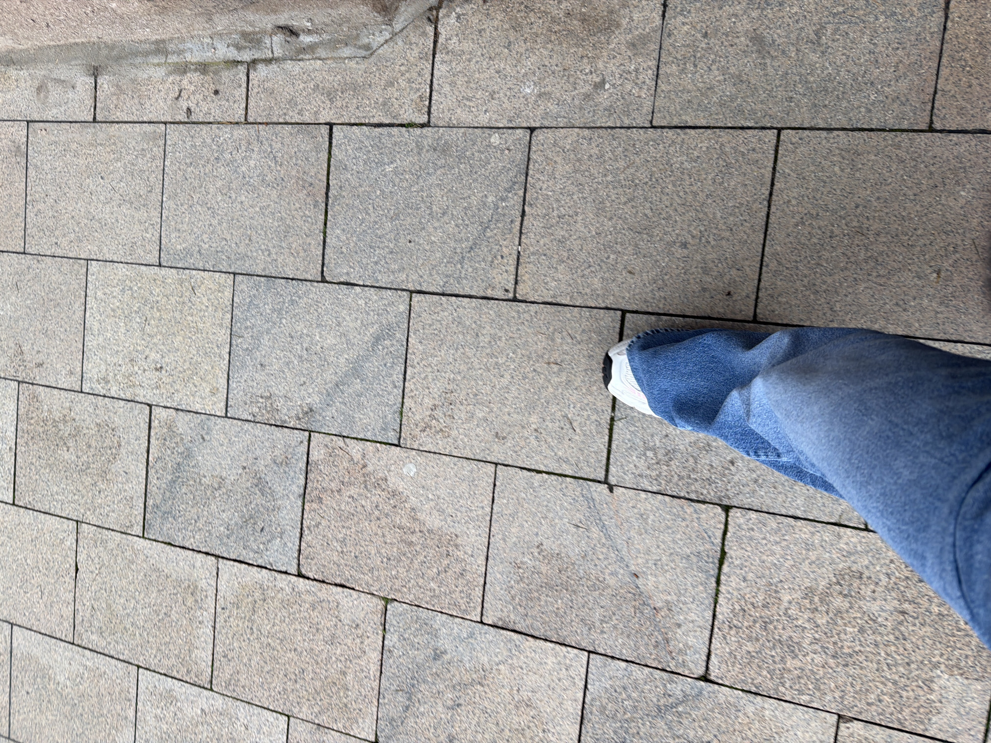 The image provides an overhead view of a person's leg and foot on a paved surface, likely a sidewalk or pedestrian area in Sofia, Bulgaria. The ground is composed of numerous rectangular paving stones, predominantly grey and beige, exhibiting a speckled, granite-like texture. These stones are arranged in a staggered, brick-bond pattern, creating a durable and uniform path. Dark grout lines separate the stones, and small patches of green moss or weeds are visible in some crevices, indicating an outdoor setting.
A person's leg, clad in blue denim jeans, is positioned on the right side of the frame, extending from the upper right corner towards the lower left. The jeans are a medium wash, showing natural folds and creases. The foot, wearing a sneaker with a white sole and a white upper, is visible at the end of the leg. The posture suggests the person is either standing or in motion, possibly mid-stride. The lighting is bright and even, indicative of daytime, potentially under an overcast sky, as no harsh shadows are cast. The pavement appears dry and generally clean. No specific landmarks or visible text are present in the image.