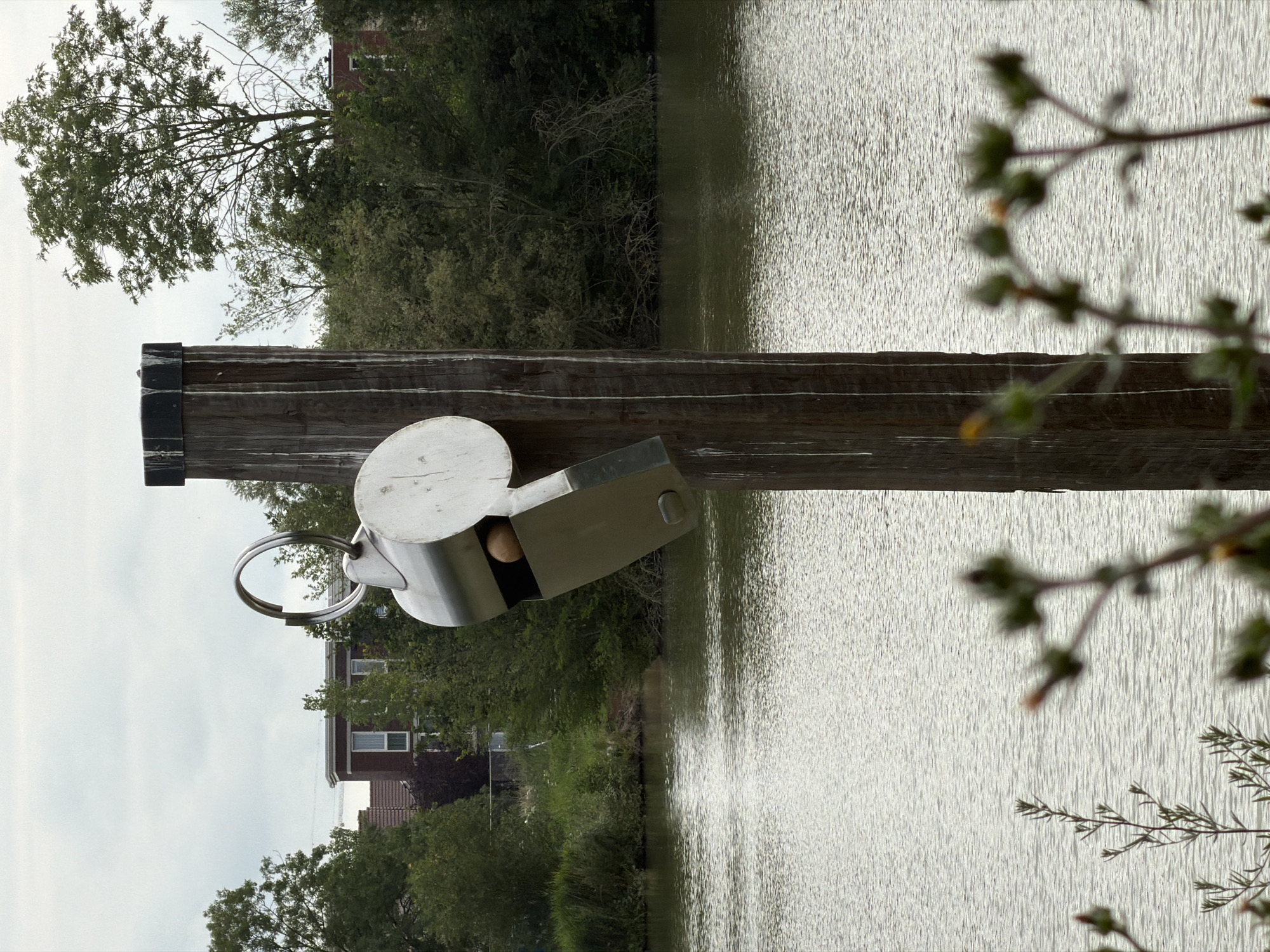 A close-up, eye-level shot captures a large, metallic sculpture resembling a whistle hanging from a weathered wooden post on the bank of a body of water. The whistle, made of shiny silver metal, has a large loop at the top and a wide, flat front. Inside the whistle's opening, a small, light brown, spherical object, possibly a wooden ball, is visible. The wooden post is vertical and appears to be made of aged timber with visible grain and some staining. The water in front of the post is calm, reflecting the overcast sky, and appears to be a canal or lake.
In the background, across the water, is a dense line of green trees and shrubs, interspersed with buildings. To the left, two-story brick houses with red tile roofs are visible amongst the foliage, suggesting a suburban or residential area. To the right, more trees obscure any further details of the landscape. In the foreground, out-of-focus, feathery green plants with small buds are visible, creating a sense of depth. The sky is overcast with gray clouds, indicating a cloudy day. The location is the Rijswijkse Plassen in Rijswijk, Netherlands. No people are present in the frame.