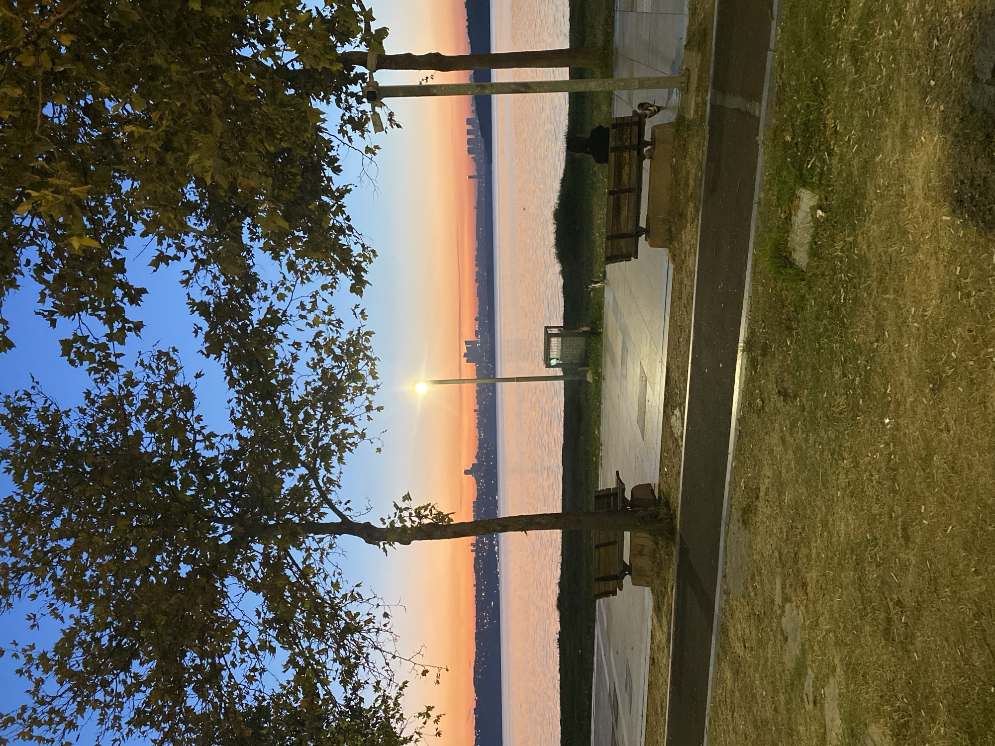 The image depicts a waterfront park scene at dusk in Küçükçekmece, Turkey. The sky displays a gradient of colors, transitioning from a deep blue at the top to a vibrant orange and pink horizon. Across a wide body of water, a city skyline with numerous buildings is visible, silhouetted against the sunset. In the foreground, two wooden park benches are positioned on a paved walkway. One bench on the left is empty. On the bench to the right, a person is seated, facing away from the camera. Between the benches, a trash receptacle stands next to a lamppost. Two cats are present in the scene: one is near the trash receptacle, and another is at the base of the lamppost. The park area includes a grassy patch in the lower portion of the frame, with a paved path running alongside it. Trees with autumn foliage frame the top of the image.
