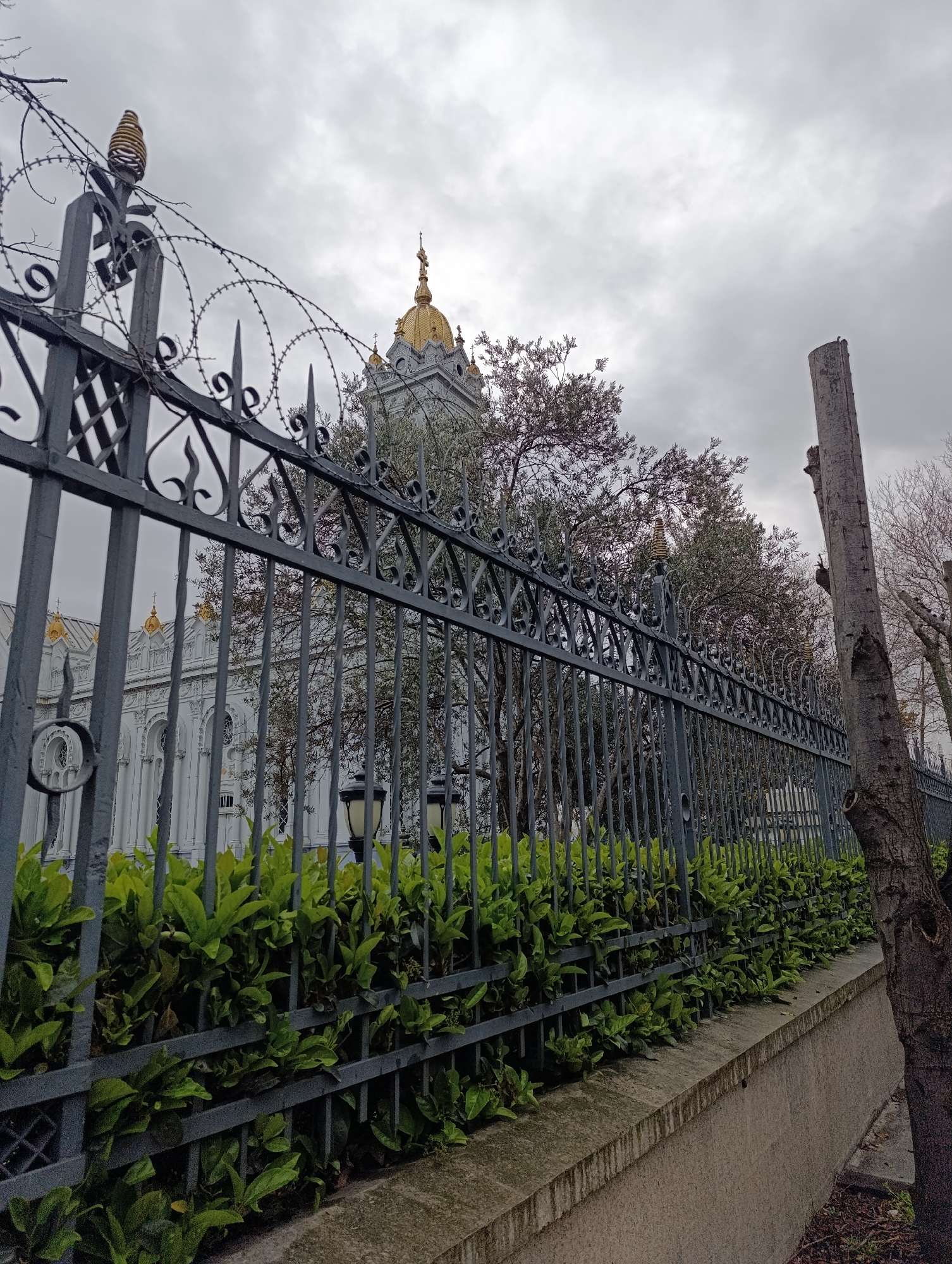 The image shows a grey ornate metal fence with barbed wire on top, securing a white building with a golden dome in the background. A row of green bushes grows along the base of the fence. The sky is overcast. A tree trunk is visible to the right of the fence. The location is the Bulgarian Orthodox Church of Saint Stephen (also known as the Iron Church) in Istanbul, Turkey. No people are visible in the image.