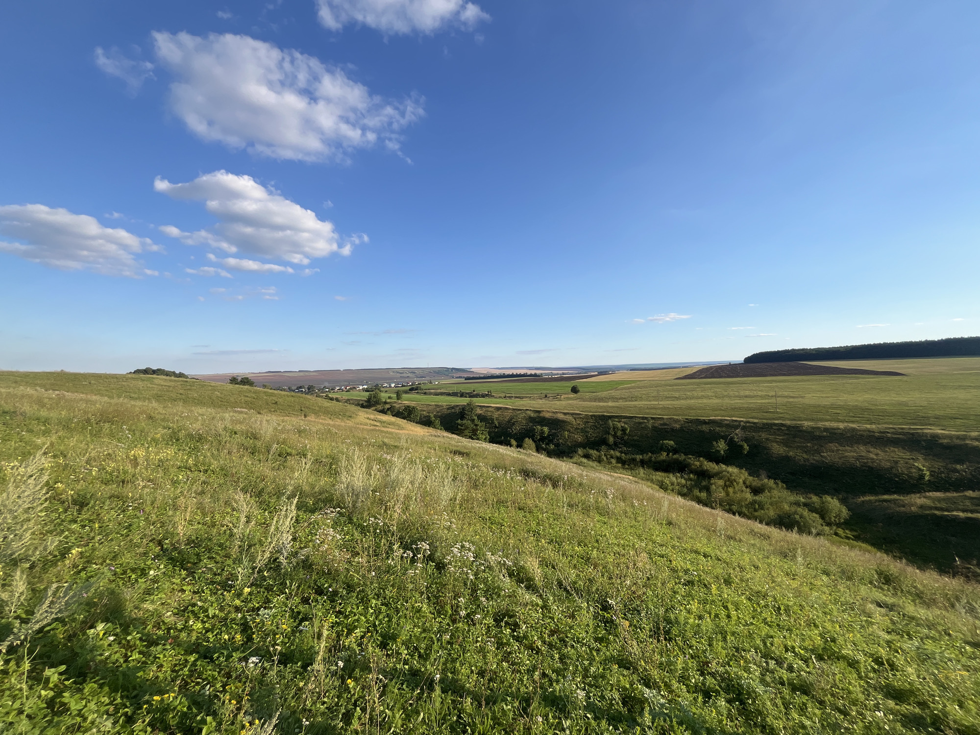The image captures a panoramic view of a rolling green landscape under a bright blue sky with scattered white clouds. In the foreground, a grassy hillside is covered with a mix of wildflowers and tall grasses. The mid-ground features a gentle slope descending into a valley with wooded areas and cultivated fields. In the distance, a small settlement with houses and agricultural land is visible, possibly the village of Srednie Pinyachi in Russia. The overall scene depicts a serene rural environment on a sunny day.
