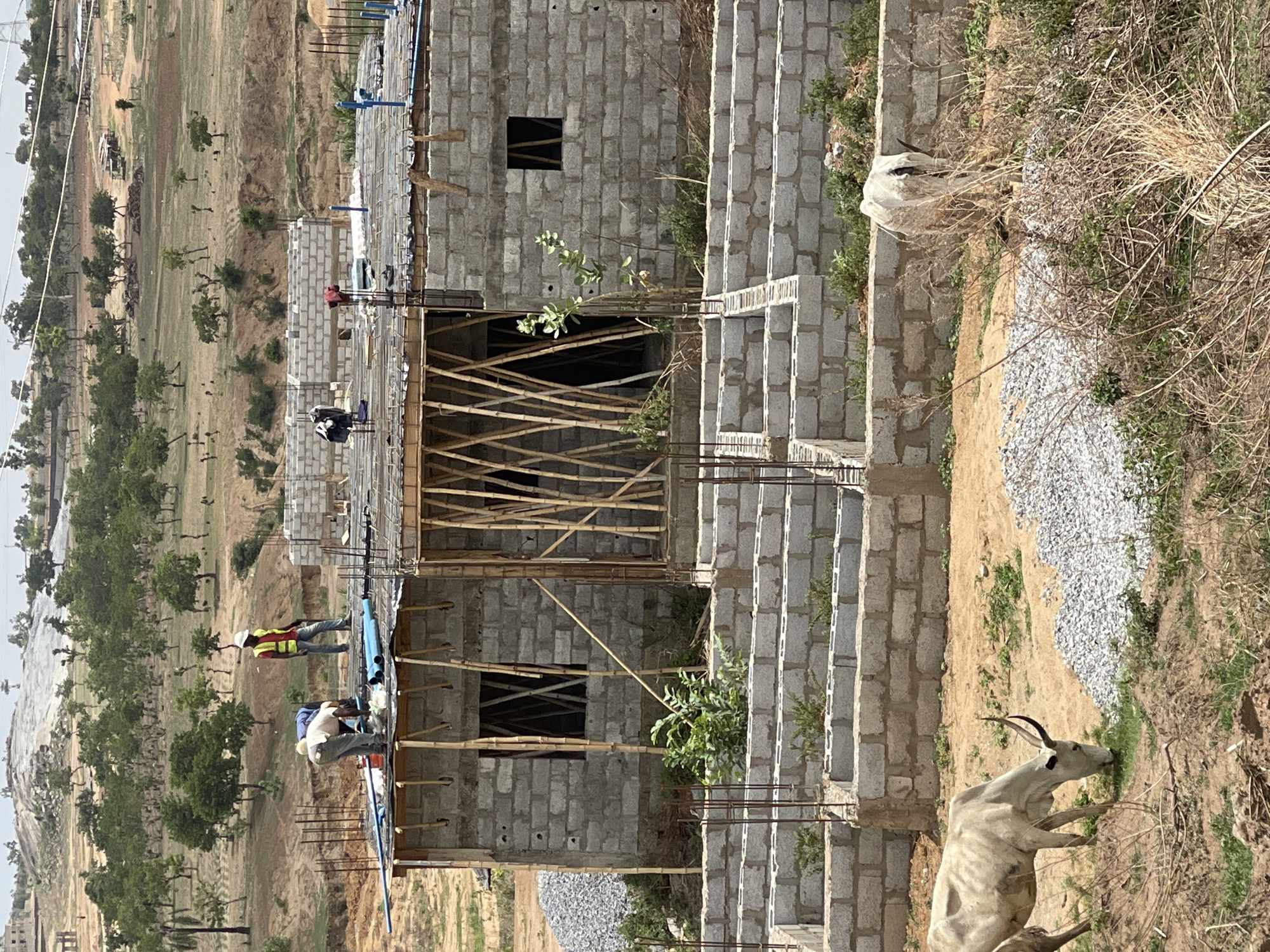 The image shows a construction site in Gosa, Nigeria, featuring a partially constructed building made of concrete blocks. The building has several window openings, some of which are supported by wooden scaffolding. Two construction workers are visible on the top level, one wearing a yellow vest and the other a light-colored shirt. Rebar extends from the top of the building, indicating further construction is planned. Adjacent to the building is a staircase under construction, also made of concrete blocks.
In the foreground, two white cattle are grazing. The surrounding environment includes a gravel area, dry vegetation, and a landscape with trees and sparse buildings in the distance.