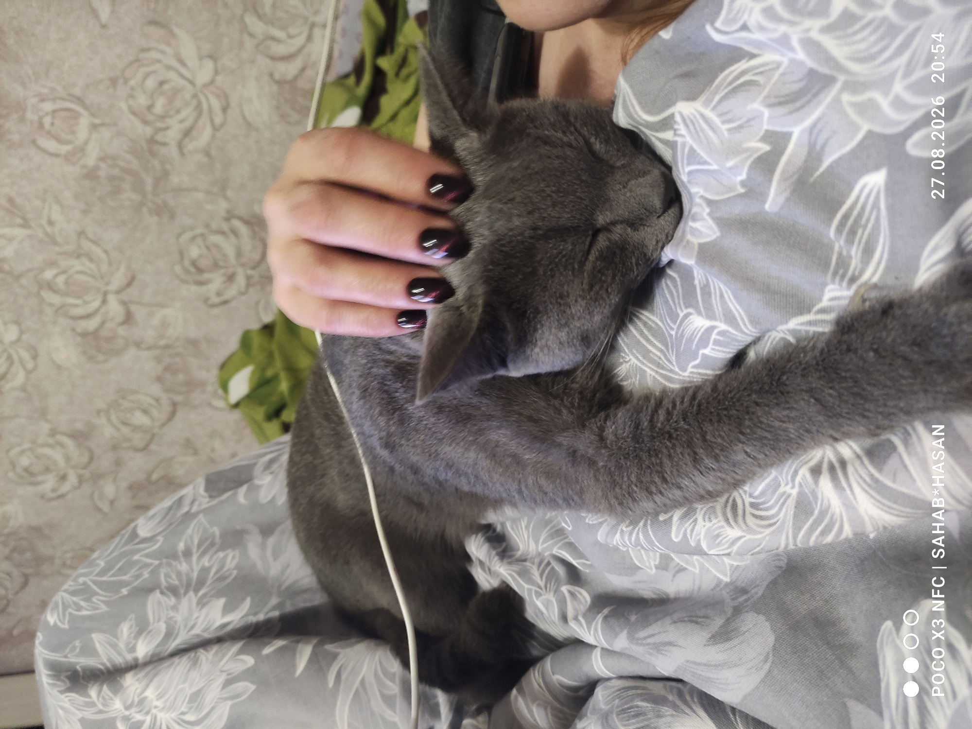 A grey cat is sleeping on a person's lap, draped in a grey floral patterned blanket. The person's hand with dark nail polish is gently stroking the cat's head. The background is a textured wall with a floral pattern. A white wire is visible across the cat's body. The lower portion of the image shows text indicating the phone model "POCO X3 NFC | SAHAB*HASAN" and the date and time "27.08.2026 20:54". The scene appears to be indoors.