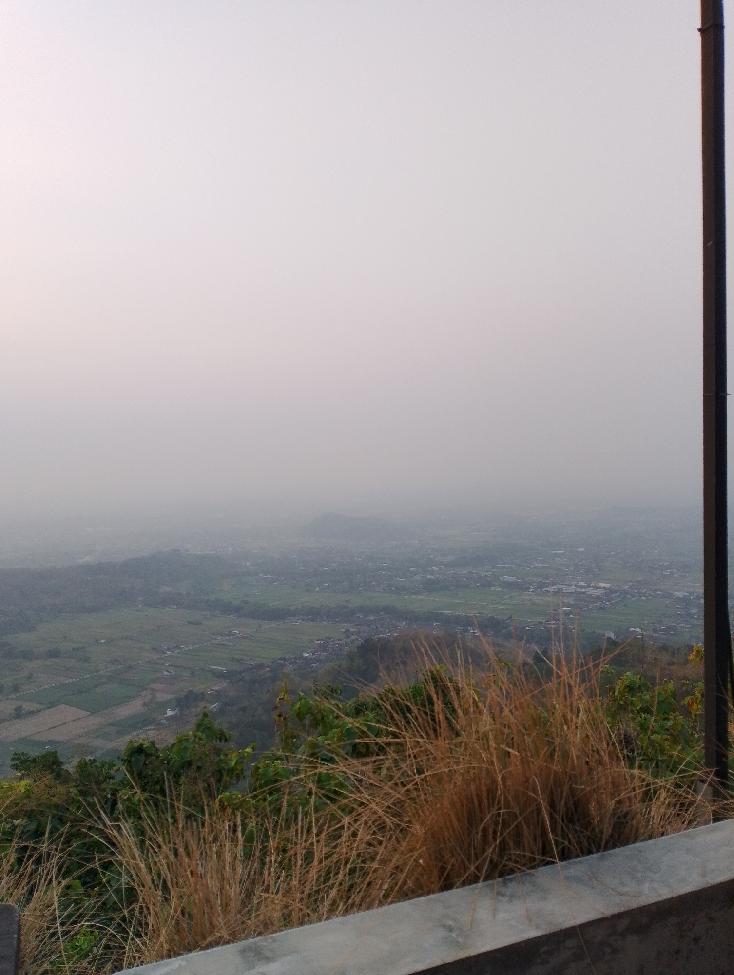 This is a photograph taken from a high vantage point overlooking a valley, likely in Srimulyo, Indonesia. The sky is overcast with a hazy, pale light. In the foreground, dry, wispy grasses and some green foliage are visible in front of a concrete barrier. Beyond this, the landscape unfolds into a vast expanse of cultivated fields, interspersed with villages and small towns. The distant horizon is obscured by haze, with rolling hills faintly visible in the far distance. A dark, vertical pole, possibly part of a structure or a utility pole, is present on the right edge of the frame. The scene suggests a rural or semi-rural area with agricultural activity.