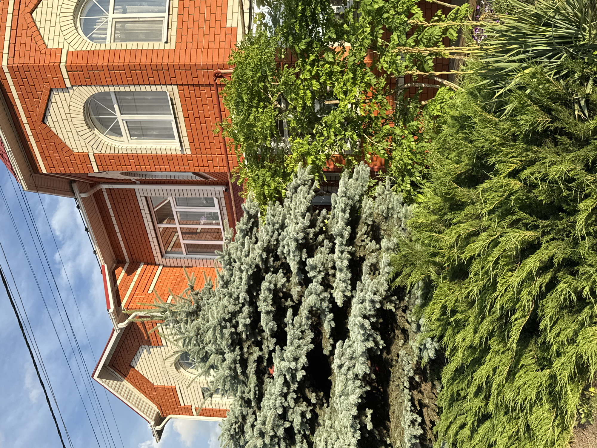 The image depicts the facade of a two-story brick house with red and white brickwork, located in the city of Rossosh, Russia. The house features arched windows with white frames and red-tiled roofing. In the foreground, there is a large blue spruce tree and a dense evergreen bush. Behind the spruce, a deciduous tree with vibrant green leaves is visible, partially obscuring the house. The sky above is blue with scattered clouds, and power lines run across the upper portion of the frame. The scene appears to be a sunny day.