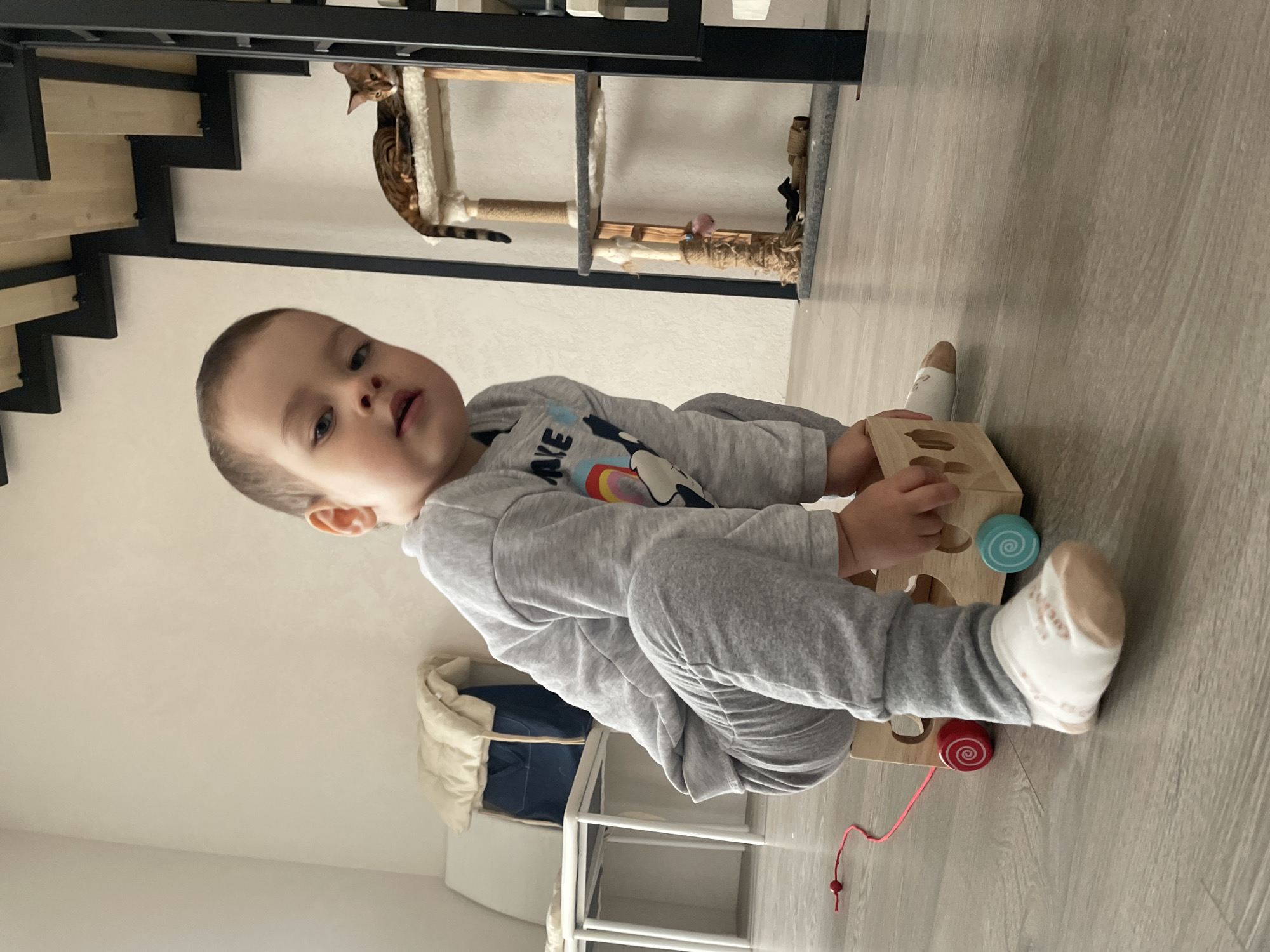 A toddler in a grey sweatsuit sits on a light-colored wooden floor, playing with a wooden toy car. The car has colorful swirls on its wheels and a red string attached. Behind the child, a white table supports a blue bag covered with a white blanket. In the background, a black staircase frame and a cat tower with a brown cat resting on it are visible. The location is unknown.