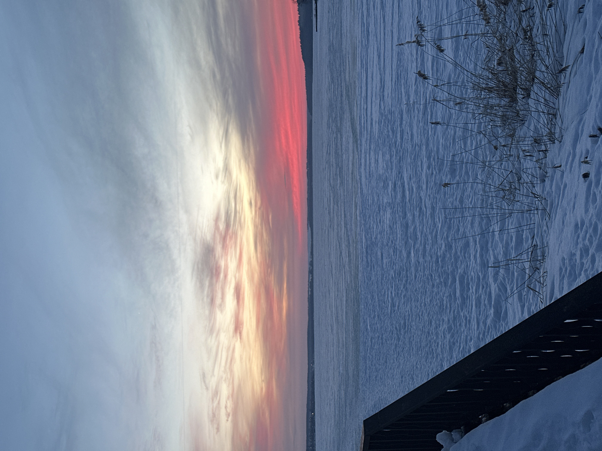 The image depicts a wide-angle winter landscape, presumably the Votkinsk Reservoir in Votkinsk, Russia, at either sunrise or sunset. The foreground presents a snow-covered bank with a dark, diagonal railing or fence post visible in the lower-left quadrant, partially obscured by accumulated snow. To the right, sparse clusters of dry, straw-colored reeds emerge from the textured snow. The midground consists of a vast expanse of frozen water, covered in a layer of snow or ice, displaying a subtly undulating and rippled surface in muted blue and white tones. Along the distant horizon, a thin strip of land is visible; the left side shows faint points of light suggesting a distant settlement, while the right side features a darker, forested silhouette and a small dark structure extending from the shore into the frozen water. The sky occupies the upper half of the frame, exhibiting a gradient of colors: pale blue at the zenith, transitioning through light grays to soft yellows and oranges, and culminating in vibrant reds and deep pinks just above the horizon. Wispy, elongated cloud formations are present, reflecting these various hues. No people, animals, or specific activities are observable within the scene.