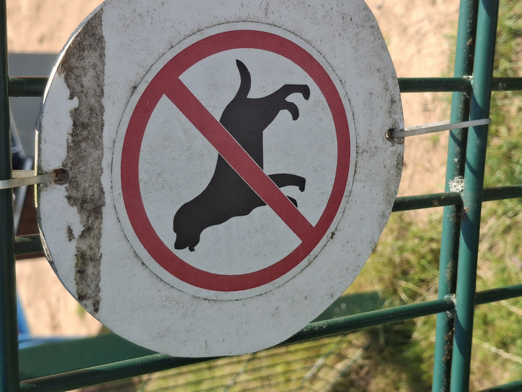 A circular sign with a black silhouette of a dog inside a red circle with a diagonal red line through it is attached to a green metal fence. The sign is white and appears weathered, with some dirt and discoloration. The fence is made of vertical and horizontal green metal bars, and behind the fence is a patch of dry grass and dirt. The background is blurred, showing a sandy area and some greenery. The sign indicates that dogs are not allowed in this area. The location is identified as Lēdmane, Latvia.