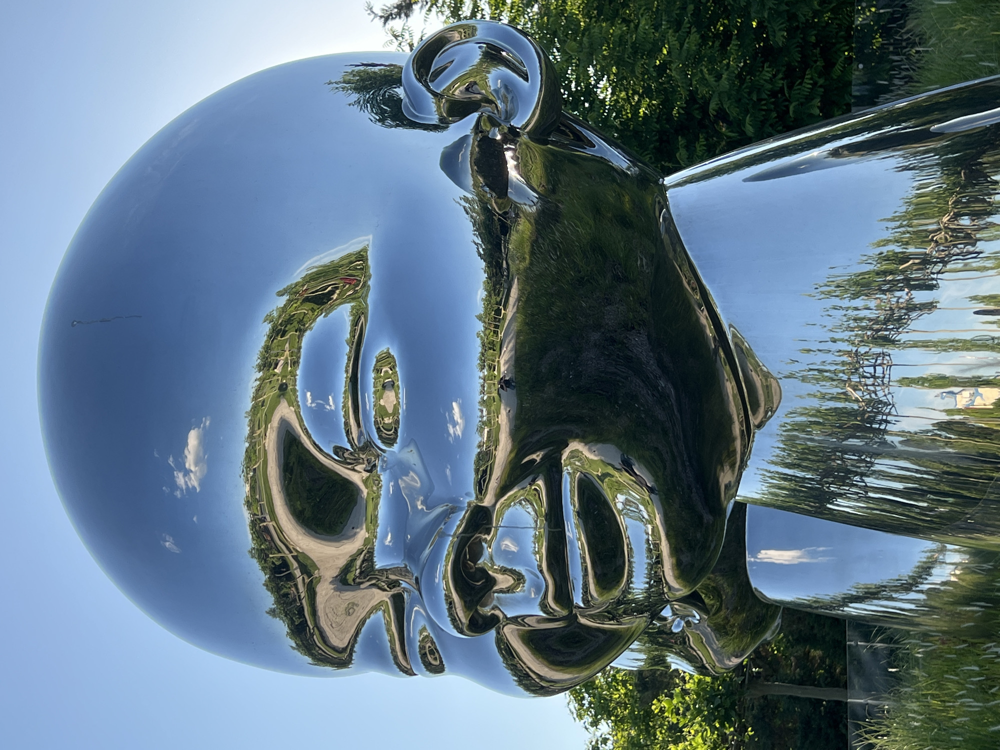 This media file features a large, highly polished, chrome-plated or metallic sculpture of a stylized human head, possibly a child's or baby's, characterized by its smooth, rounded contours. The sculpture's reflective surface acts as a distorted mirror, capturing its surroundings.
The reflections prominently display a clear blue sky with a few white clouds, indicating a bright, sunny day. Lush green trees and various foliage are clearly visible in the distorted reflections, suggesting an outdoor setting. Paved roads or pathways are also reflected, weaving through the greenery, implying a park or public outdoor space within a developed area. The reflections hint at distant structures or buildings.
No specific activity or event is taking place beyond the presence of the static sculpture in its environment. The time of day is daytime, evidenced by the bright sunlight and clear reflections. There is no visible text in the image. The location context is Krasnodar, Russia.
