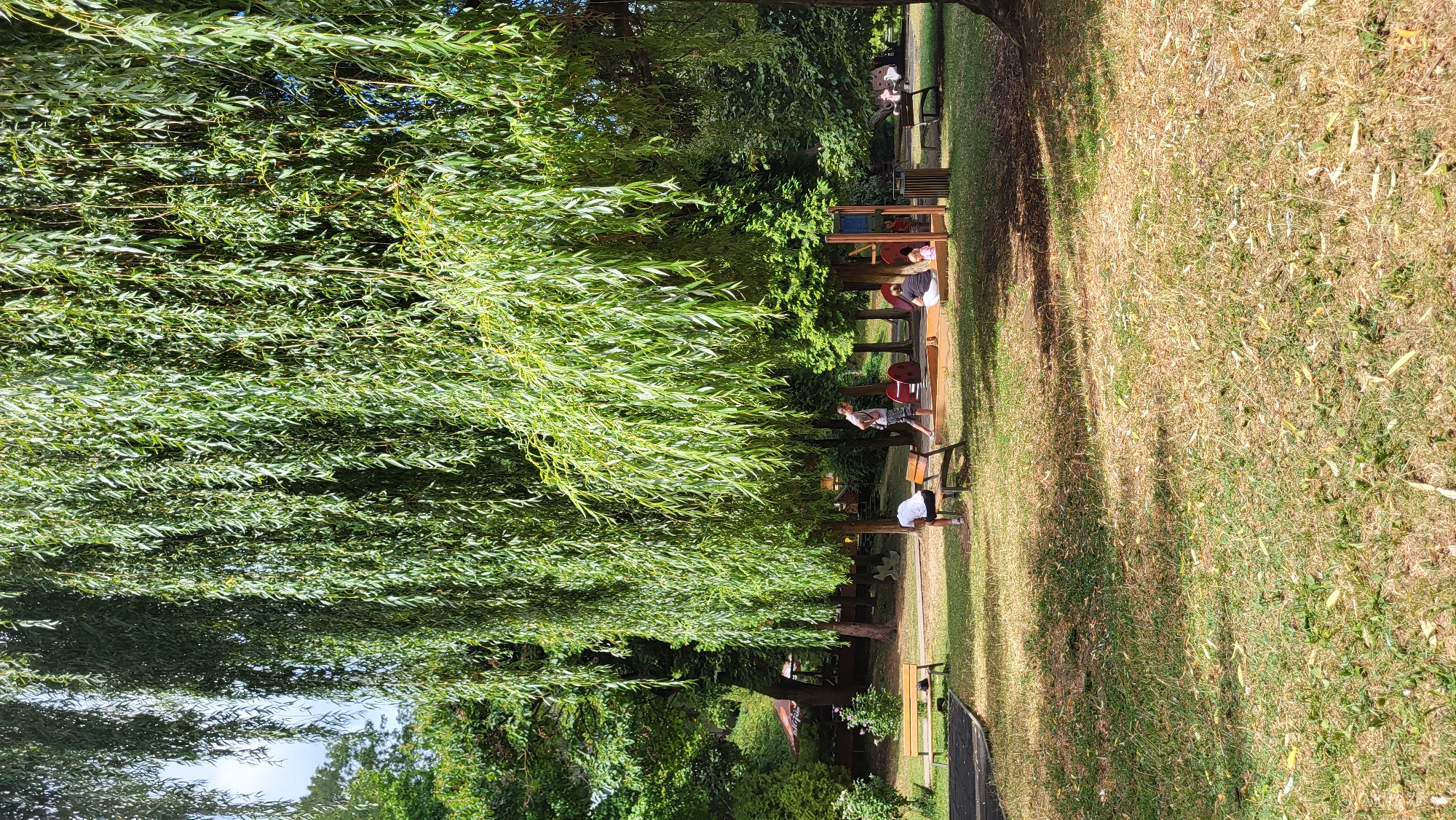 The image depicts a park scene with people and playground equipment under the shade of a large weeping willow tree. In the foreground, a person in a white t-shirt and dark shorts is sitting on a park bench. To the right, a man in a grey t-shirt and patterned shorts is standing near a sandpit area. A woman and a small child are seated in the sandpit. Further to the right, another person is partially visible on a bench. Several benches are scattered throughout the grassy park, and some playground structures are present. The environment is green with lush trees and a well-maintained grassy area. The image was captured in Prešov, Slovakia.