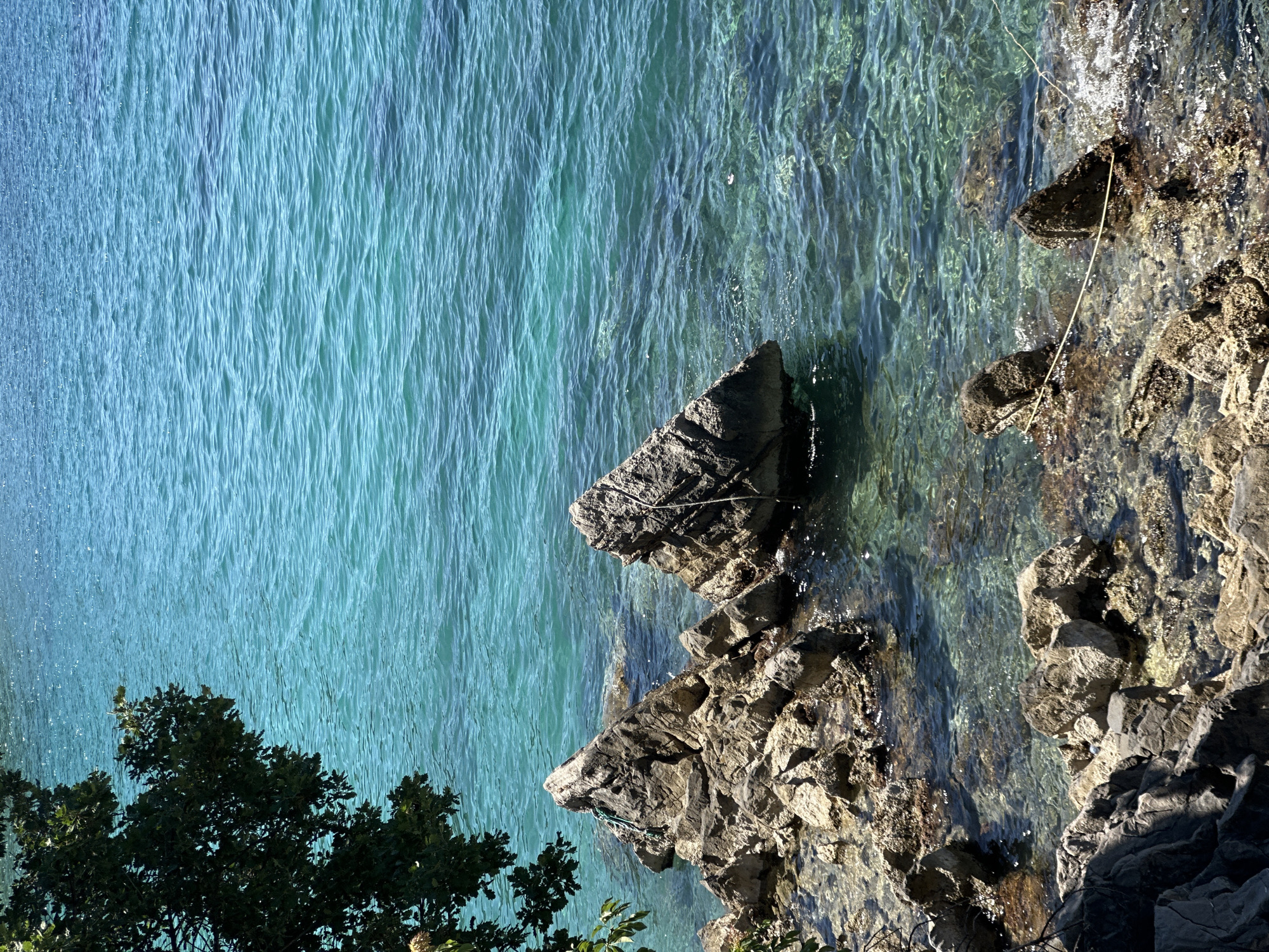 The image depicts a rocky coastline meeting the turquoise waters of the Adriatic Sea. The location is likely near Budva, Montenegro, given the distinctive rock formations and water color typical of the Montenegrin coast. Jagged, gray-brown rocks form the edge of the shoreline, interspersed with clear, shallow water. The water transitions into deeper hues further out. A few small trees are visible in the lower left corner. A thin, light-colored rope or cord stretches across a rock in the water. The scene appears to be captured in bright sunlight, creating sharp shadows and highlighting the textures of the rocks and water. No people are visible.