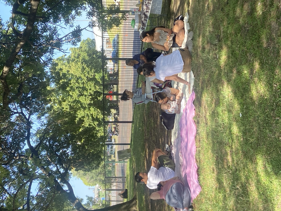 A group of people are having a picnic in a park. A light pink blanket is laid out on the grass, and some people are sitting around it. A woman is holding a baby, and another person appears to be interacting with them. Other individuals are seated nearby, some on chairs. The picnic is taking place near a fence, with trees providing shade in the background. The scene appears relaxed and pleasant, taking place on a sunny day.