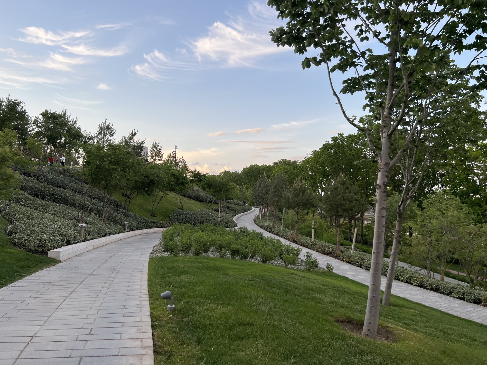 The image depicts a park landscape in Krasnodar, Russia. A paved walkway winds through a grassy area with trees and shrubs along the sides. The path ascends a gentle hill. The sky is light blue with wispy clouds. The scene appears peaceful and well-maintained.