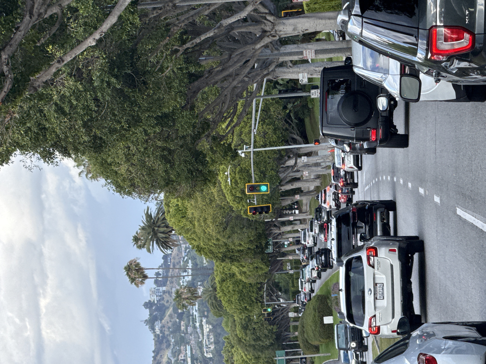 The image captures a congested street scene in Beverly Hills, California. Dense traffic is moving along a tree-lined road, with cars positioned bumper-to-bumper in multiple lanes. Palm trees rise above the buildings along the distant hillside. The sky appears partly cloudy. The traffic light is showing green.
