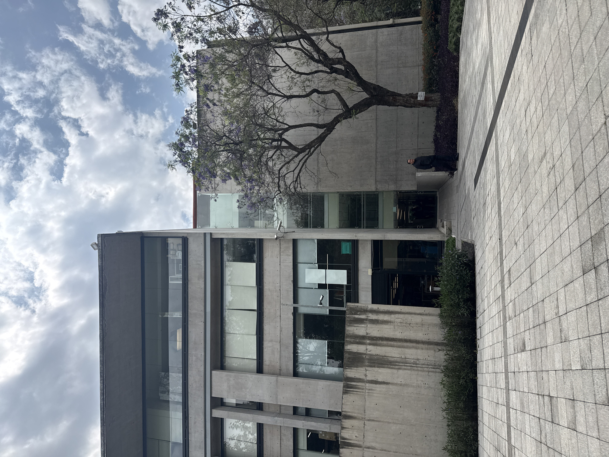 The image depicts a concrete building in Mexico City, Mexico, possibly a university building, under a partly cloudy sky. The building has multiple floors with large windows. A tree with bare branches and purple flowers grows beside the building, partially obscuring the view. A person in dark clothing stands near the entrance of the building. A paved walkway runs alongside the building with greenery separating it from the building's wall.