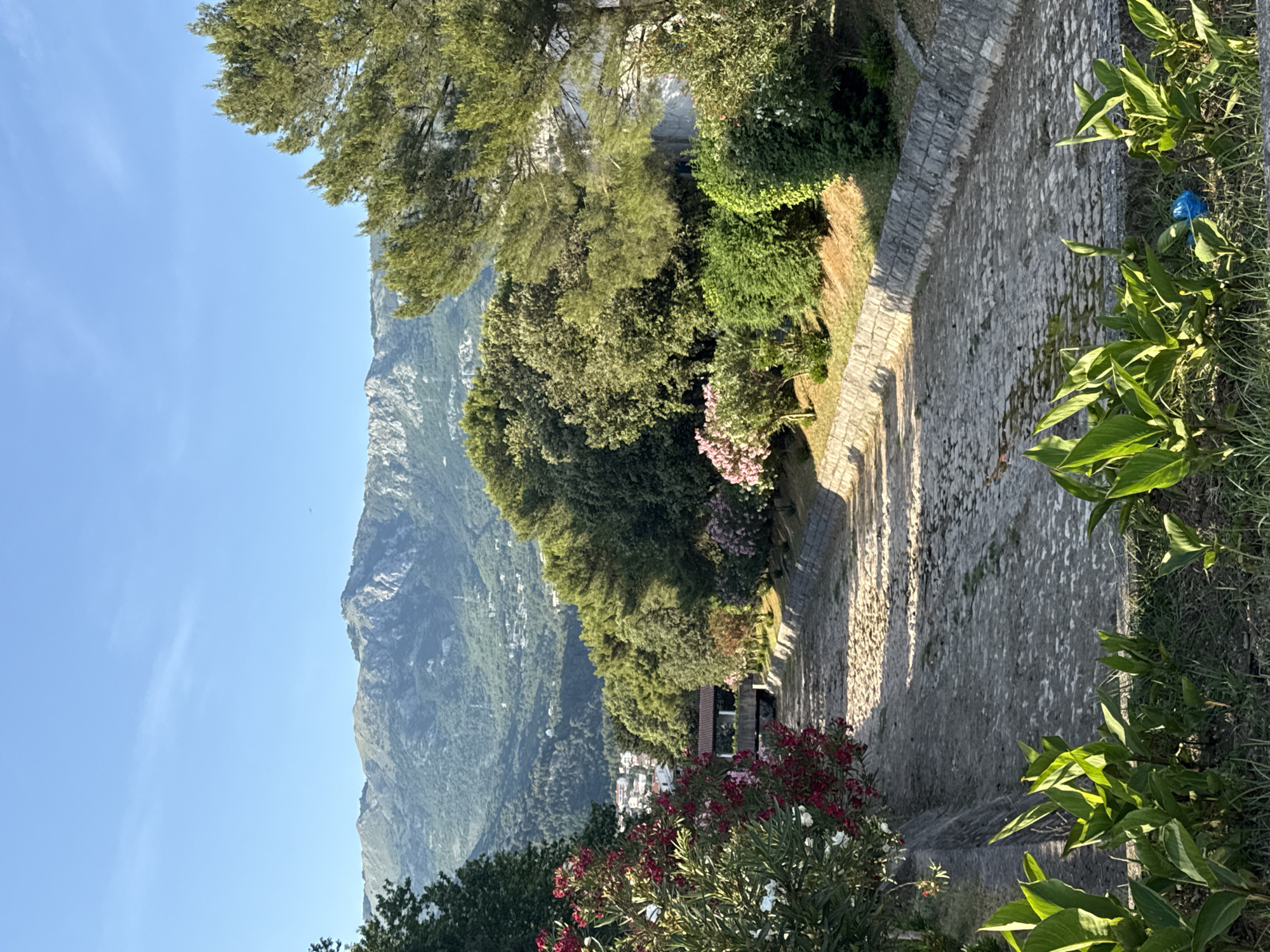 The image displays a picturesque, sunny mountainous landscape, likely in Budva, Montenegro, viewed from an elevated position. A winding stone-ppaved path or road is prominent in the middle ground, bordered by a stone wall on its left. The path shows clear shadows, indicating bright midday or early afternoon sun.
To the left of the path, a dense array of lush green trees and bushes covers the hillside, with some featuring pink and red blossoms, possibly oleander. Further in the distance, nestled among the greenery on a lower hillside, are scattered white-roofed buildings, forming a small settlement. Towering mountains, craggy and covered in vegetation, dominate the background under a clear, bright blue sky with only faint wisps of clouds.
On the right side of the path in the foreground, vibrant green foliage and grass grow, with a distinctive blue plastic bag resting on the ground among the plants. No people or visible text are present. The scene conveys a sense of natural beauty and tranquility, characteristic of a Mediterranean mountain region.