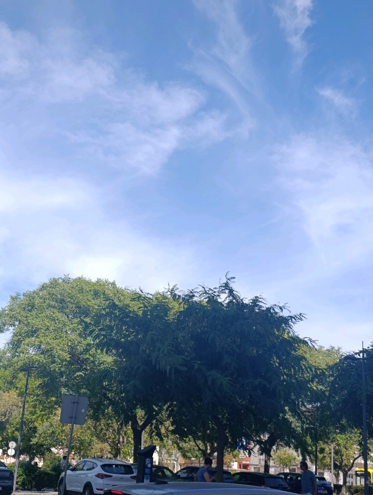 The image captures a street scene in Setúbal, Portugal, under a bright blue sky with wispy clouds. Lush green trees, densely foliated, dominate the mid-ground and foreground, casting shadows and creating a sense of natural abundance within the urban environment. In the lower portion of the image, parked cars line the street, including a white SUV. Several individuals are visible, some walking or standing near the vehicles, their presence contributing to the daily life of the city. Streetlights and traffic signs are also present, indicating the presence of urban infrastructure. The overall impression is a typical sunny day in a Portuguese city, with a harmonious blend of nature and urban elements.