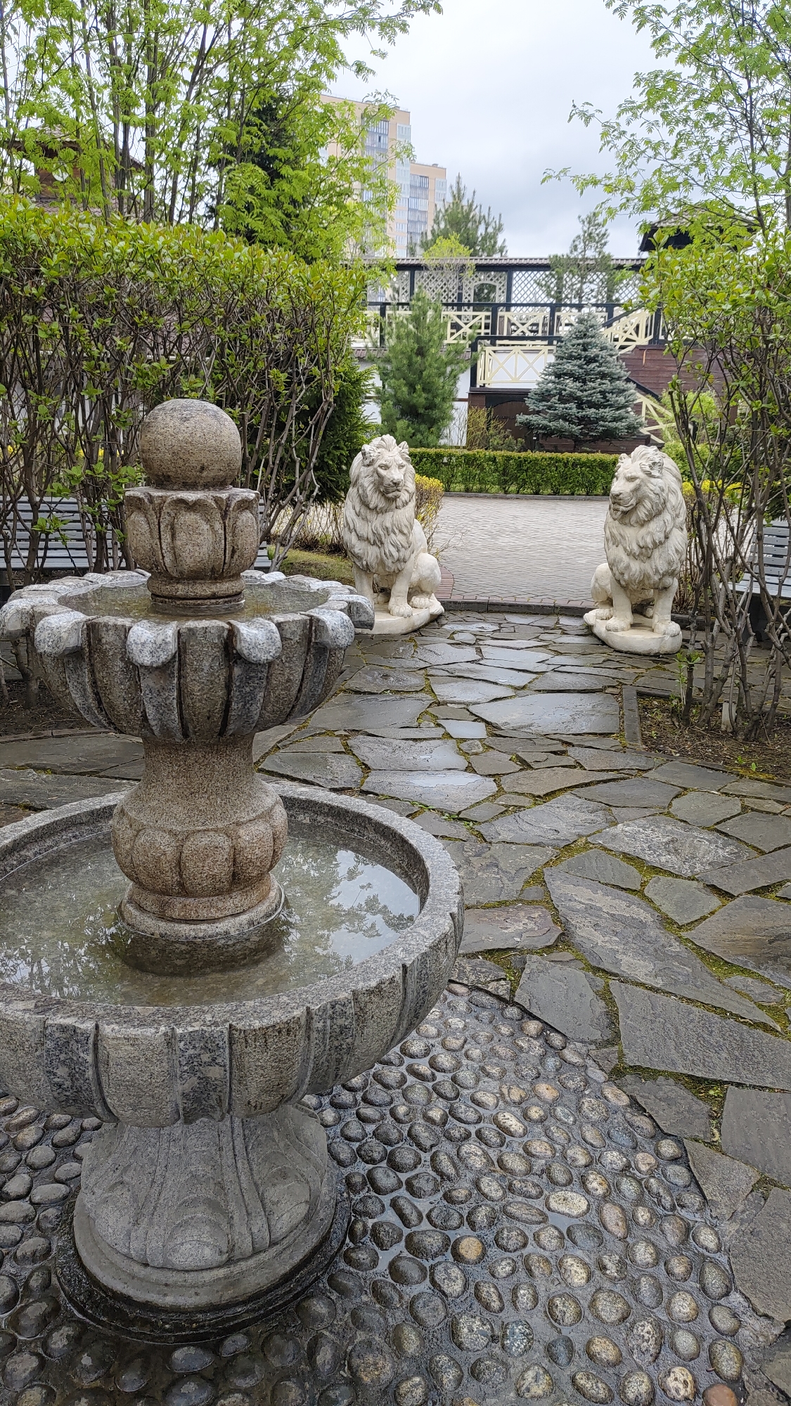 The image captures a serene garden scene in Krasnoyarsk, Russia, featuring a stone fountain in the foreground. The fountain has three tiers filled with water, constructed from grey stone with classical design elements. Behind the fountain, a pathway constructed of irregularly shaped grey stones leads towards a pair of white lion statues flanking the path. The statues are positioned symmetrically amidst neatly trimmed green bushes. In the background, there is a decorative wooden structure with a white lattice design, and beyond that, a glimpse of modern apartment buildings under an overcast sky. The ground around the fountain consists of small, rounded pebbles. The overall impression is that of a well-maintained, tranquil garden space.