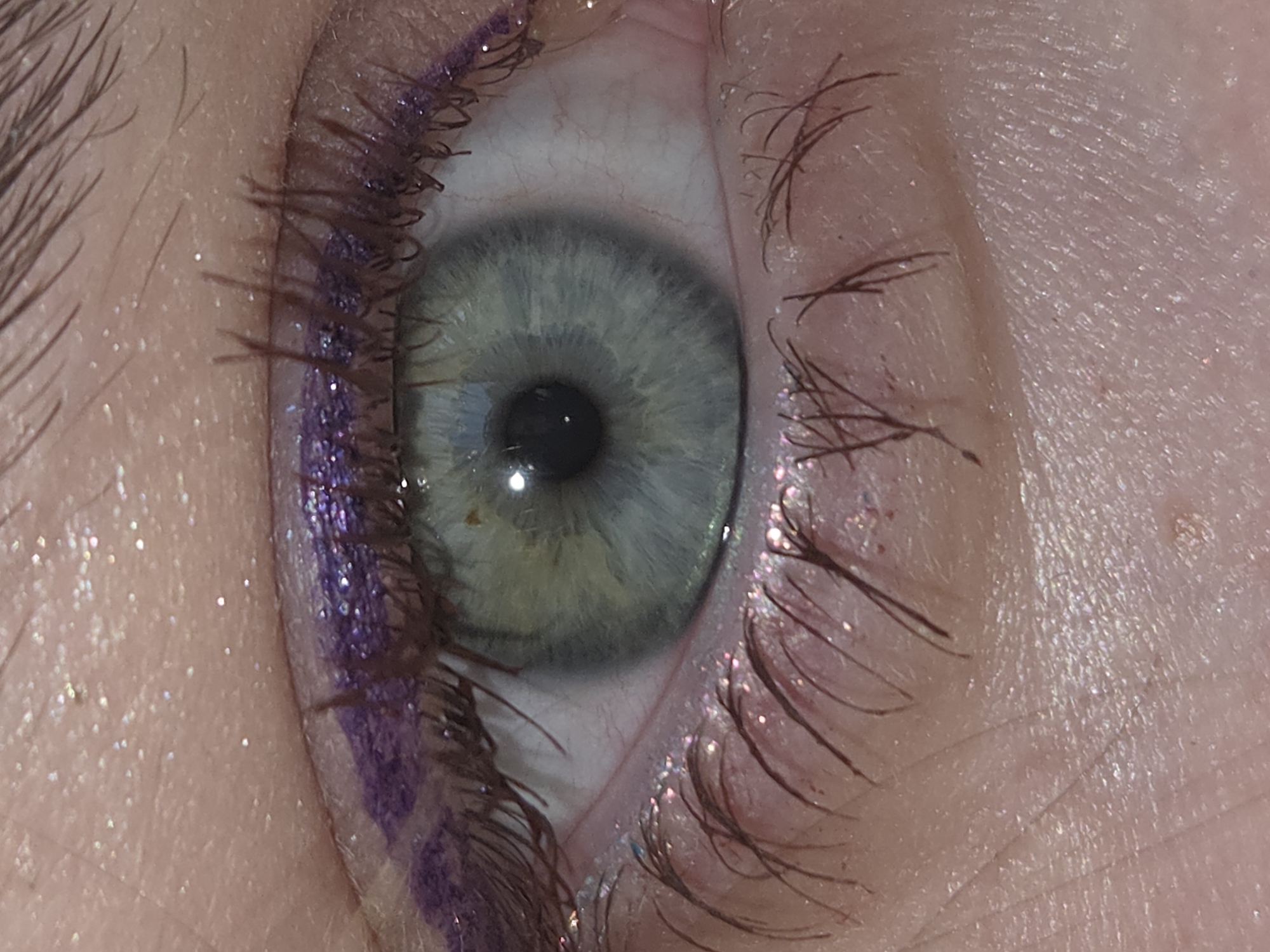 A close-up image shows a human eye with light blue-gray iris and black pupil. The upper eyelid is decorated with purple eyeliner and mascara on the eyelashes. The skin around the eye has a fair complexion with visible fine lines and subtle glittery makeup. The lower eyelashes also have mascara. The image is taken at close range, emphasizing the details of the eye and makeup.