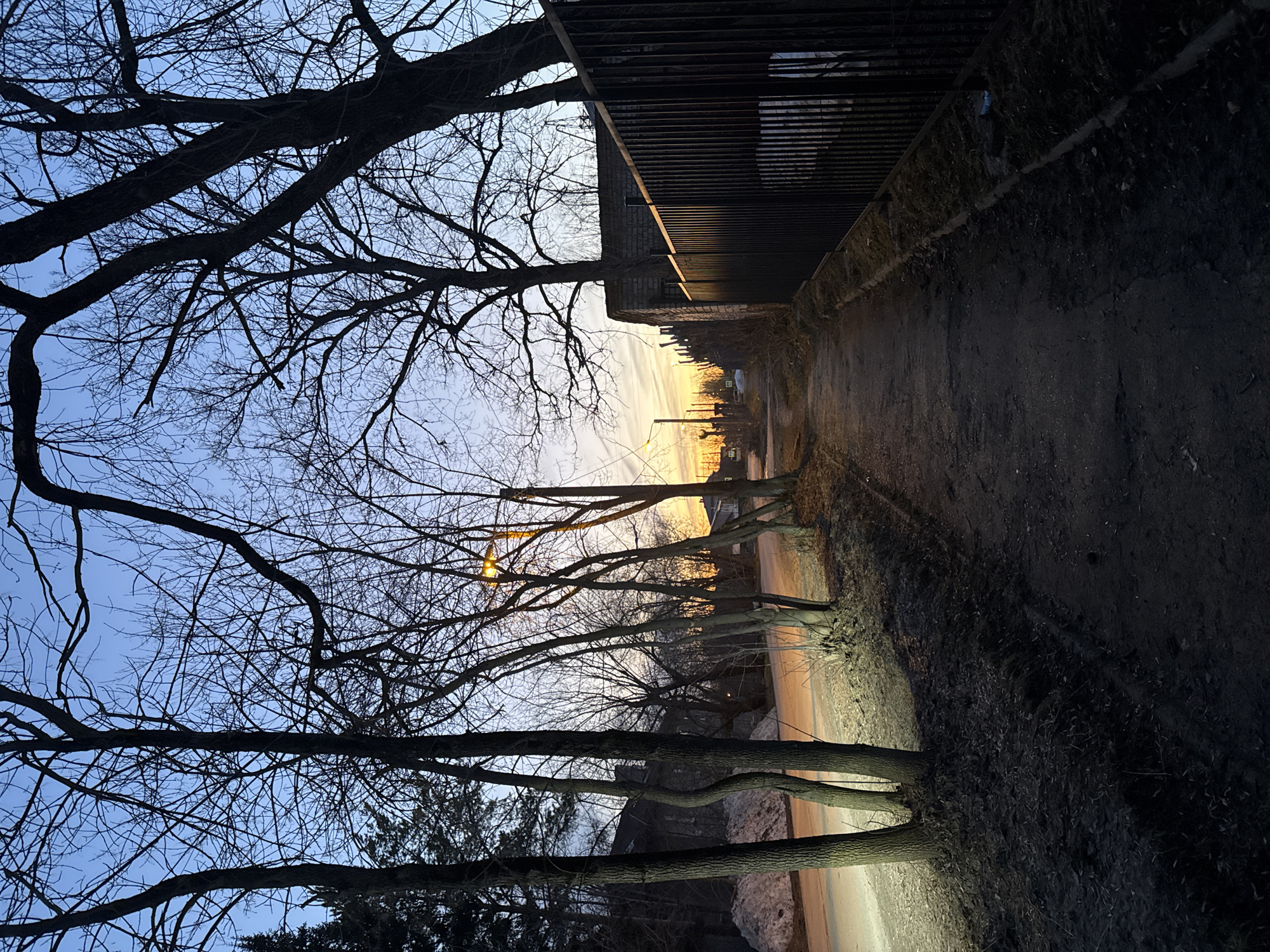 The image captures a street scene in Usolye, Russia, likely during twilight. A narrow road or path stretches into the distance, flanked on the right by a dark, overgrown embankment or hillside. A building or structure with a dark metal railing or fence sits atop the embankment. On the left, bare trees with intricate branches reach up towards the sky. In the distance, there are hints of buildings and a warm glow from either the setting sun or artificial lights. The overall scene conveys a sense of quietude and a mix of urban and natural elements.