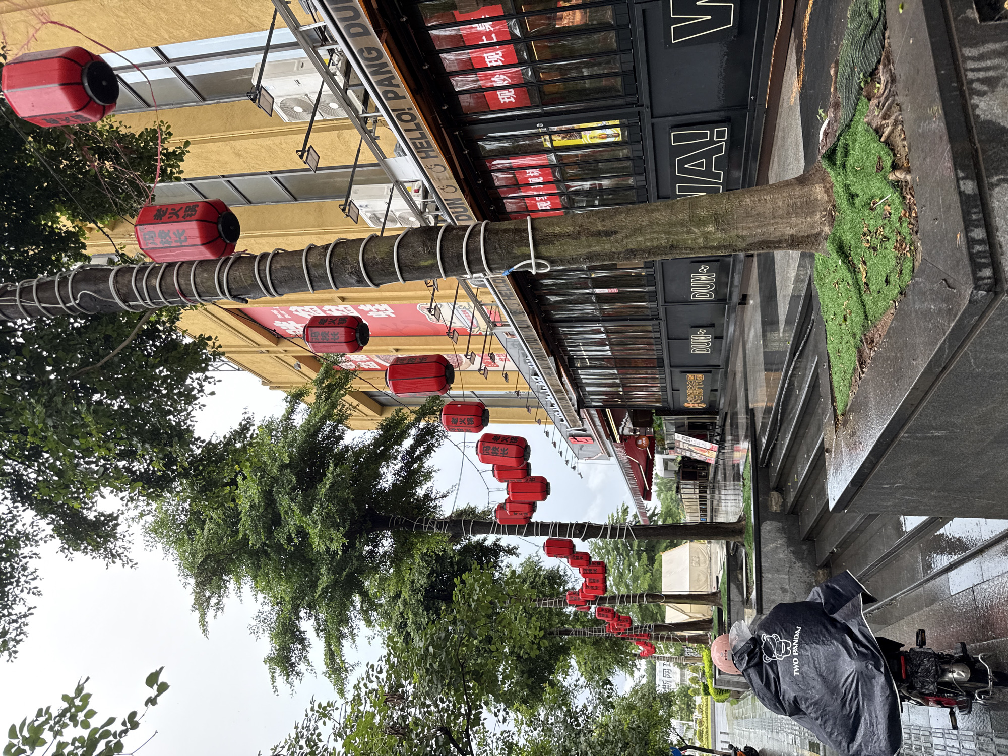 The image shows a street scene in Haizhu District, China, likely on a wet day, as indicated by the wet pavement and the rain poncho worn by the person on the scooter. Red lanterns are strung along the trees and in front of a building. The building appears to be a commercial establishment, possibly a restaurant, with large windows and signage. In the foreground, a person is riding a scooter, wearing a black rain poncho with the logo "TWO PANDAS." The scooter is red and has a black bag attached to the back. The street is paved with cobblestones and there are steps leading up to the building. Trees are planted along the street, some with their trunks wrapped in white material, possibly for protection or decoration. The sky is overcast. The overall impression is one of a bustling urban environment with traditional Chinese decorative elements.