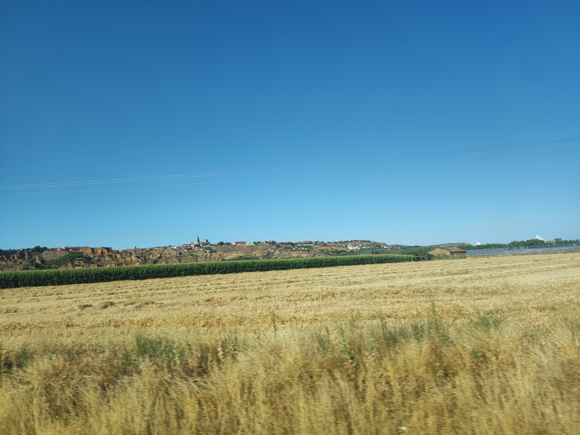 The image captures a rural landscape under a clear blue sky. The foreground is dominated by a field of dry, golden grass or straw, showing evidence of recent harvesting, with rows of cut stalks visible. Behind this field, a dense, green strip of vegetation, likely corn or a similar crop, runs horizontally across the frame. Further in the distance, a town or village is situated on a hillside. The buildings are clustered together, with visible rooftops and church steeples, suggesting a historical or traditional settlement. The hillside itself appears to be characterized by reddish-brown earth and sparse vegetation. In the far distance, on the right side of the image, some modern agricultural structures, possibly greenhouses or covered fields, are visible. The image appears to be taken from a moving vehicle, as indicated by the slight motion blur in the foreground vegetation. The location is identified as the city of Toro, Spain.