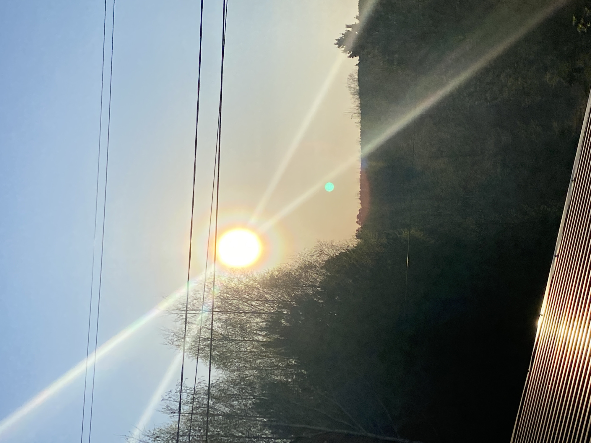 The image depicts a landscape with a bright sun in the sky, with lens flare. The sun is partially obscured by trees and the sun glare is striking a mountain. There are electrical lines in the left of the image. There is a metal fence on the right. The location is unknown but the prompt mentions the city of Фоки, Russia.
