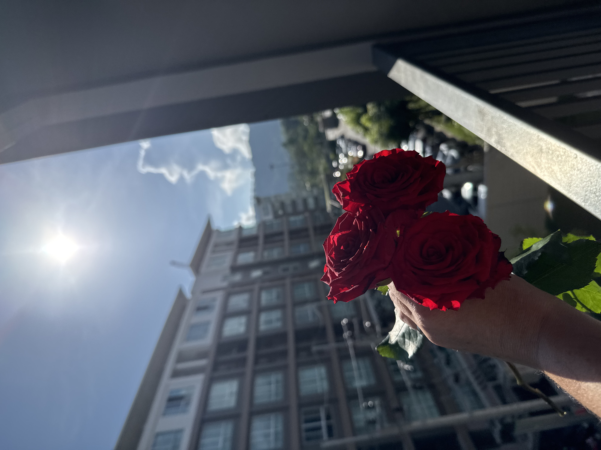 In Kathu, Thailand, a hand holds three deep red roses against the backdrop of a clear blue sky with a bright sun and scattered clouds. Behind the roses and hand, a multi-story building with numerous windows is visible, suggesting an urban or developed area. In the distance, a road with parked cars and lush green trees can be seen, leading towards a mountain range. The foreground features a railing, likely part of a balcony or walkway, illuminated by the sun. The scene captures a moment of natural beauty set against a vibrant, possibly tropical, environment.