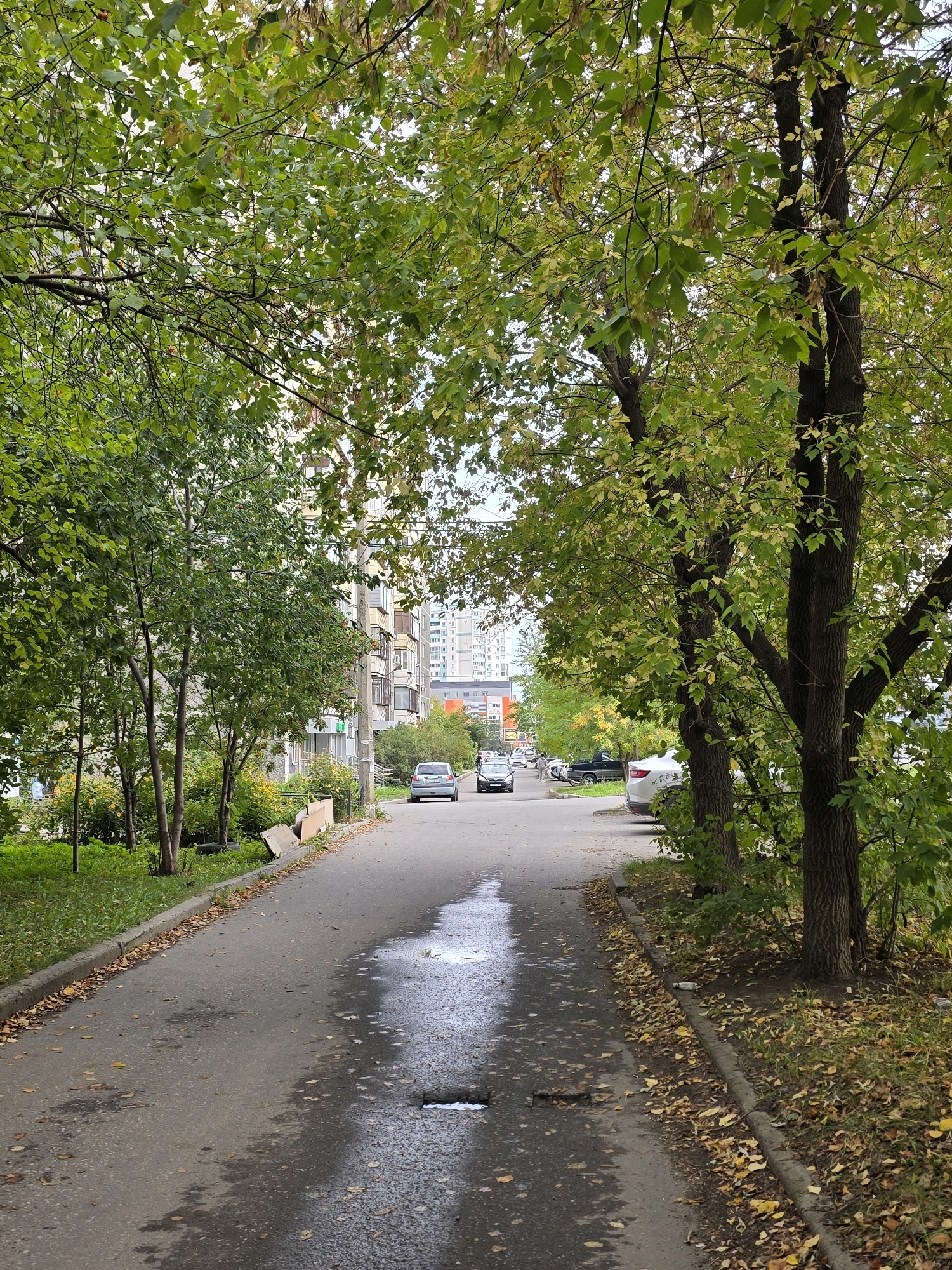 The image depicts a residential street in Chelyabinsk, Russia, on a cloudy day, likely in autumn given the fallen leaves. A paved road runs through the center of the frame, lined on both sides by trees with green and yellowing foliage. Several cars are parked along the right side of the road and driving on it. On the left, a grassy area borders the street, with more trees and a multi-story apartment building in the background. The apartment building appears to be constructed from beige and white materials. There are no people visible in the immediate foreground or middle ground. The road surface shows signs of wear, with wet patches and scattered fallen leaves.