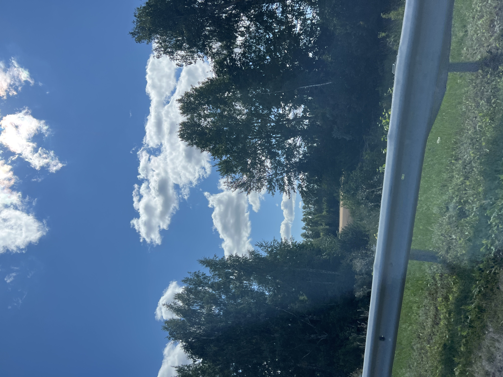 The image shows a bright, sunny day with a clear blue sky filled with fluffy white clouds. In the foreground, a metallic guardrail runs horizontally across the frame, with green grass and vegetation beneath it. Behind the guardrail, dense green trees form a line, with some appearing taller than others. In the distance, a patch of field with a light brown hue is visible, bordered by more trees and a hint of sky. The scene appears to be an outdoor landscape, possibly a roadside view in or near Malaevka, Russia, given the visual context of rural scenery and vegetation. There are no people or animals visible in the image.