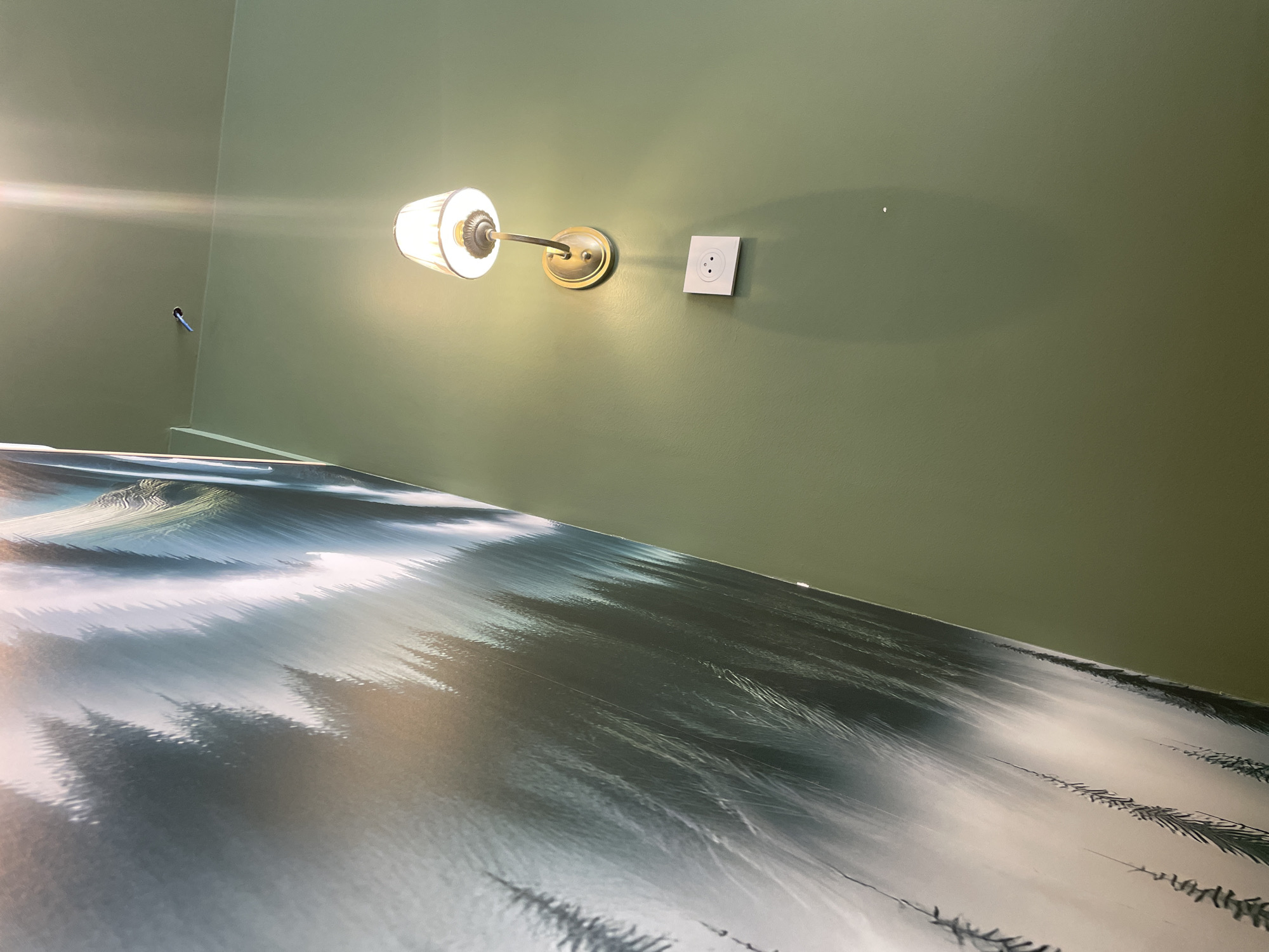 The image depicts an interior wall with a mural of a misty forest scene on the left and a solid green painted wall on the right. A single wall-mounted light fixture with a pleated shade is visible on the green wall, casting a warm glow. Below the light fixture is a white electrical outlet. Near the top of the green wall, a small blue object is attached. The perspective suggests the photo was taken from a low angle, looking upwards. There are no people or animals visible. The scene appears to be in a room, but no specific location in Meaux, France, can be identified from the visual information alone.