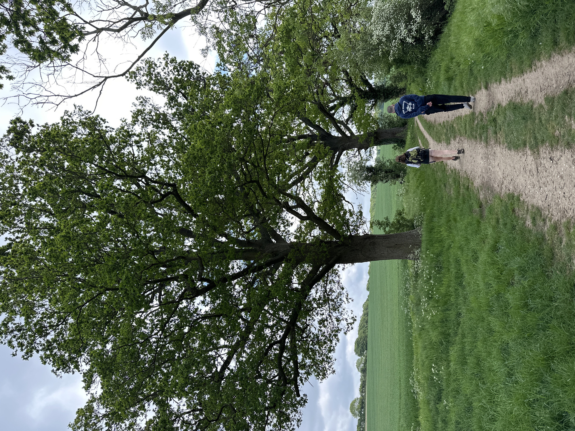 The image depicts a rural path in East Cambridgeshire, United Kingdom, dominated by a large tree with dense green foliage in the foreground. Two people are walking along the path: one is wearing a navy blue jacket and dark trousers, and the other is wearing a light-colored jacket with a backpack. The path is bordered by grass and a field. The sky is overcast.