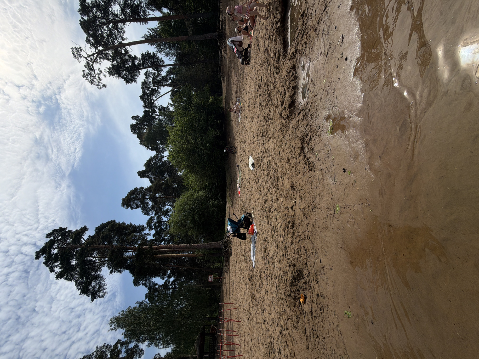 The photograph depicts a sandy beach adjacent to a body of water, possibly a river or lake. The scene is in Moscow, Russia. The beach area is marked by tall pine trees on the left side. A group of individuals are gathered near the top portion of the frame and several sunbathers are present along the beach.
Objects visible on the beach include a stroller, and a bicycle, suggesting a recreational setting. The beach appears to be a public space within a park.
The sky above features scattered clouds. Overall, the scene conveys a sense of summer leisure activity.