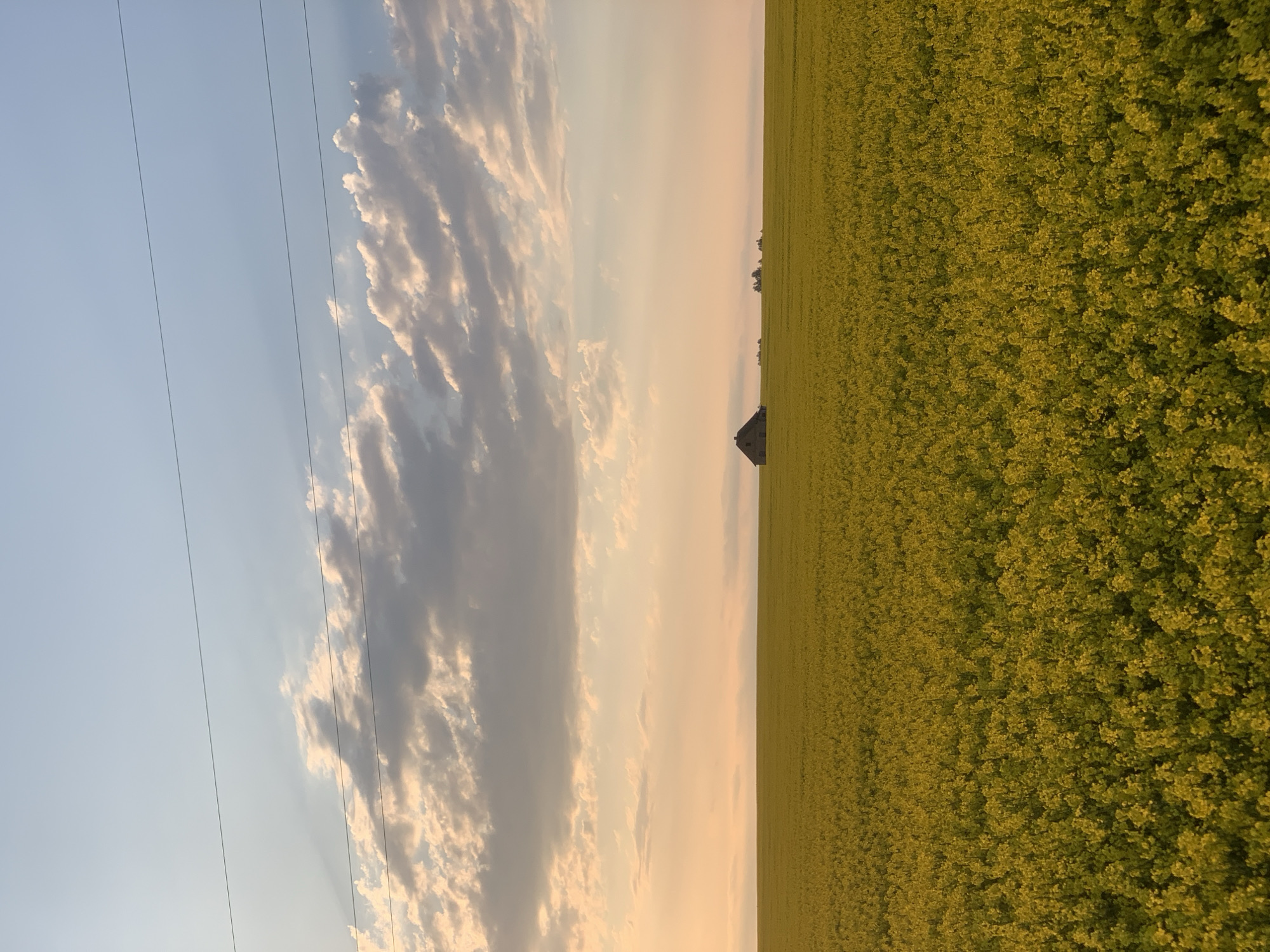 The image depicts a landscape in Лунненскі сельскі Савет, Belarus. A field of yellow flowers occupies the right side of the image. A small dark structure, possibly a building, is visible in the distance within the field. The sky fills the left side, featuring light blue and white clouds illuminated by the setting sun. Power lines run vertically along the left edge of the image.