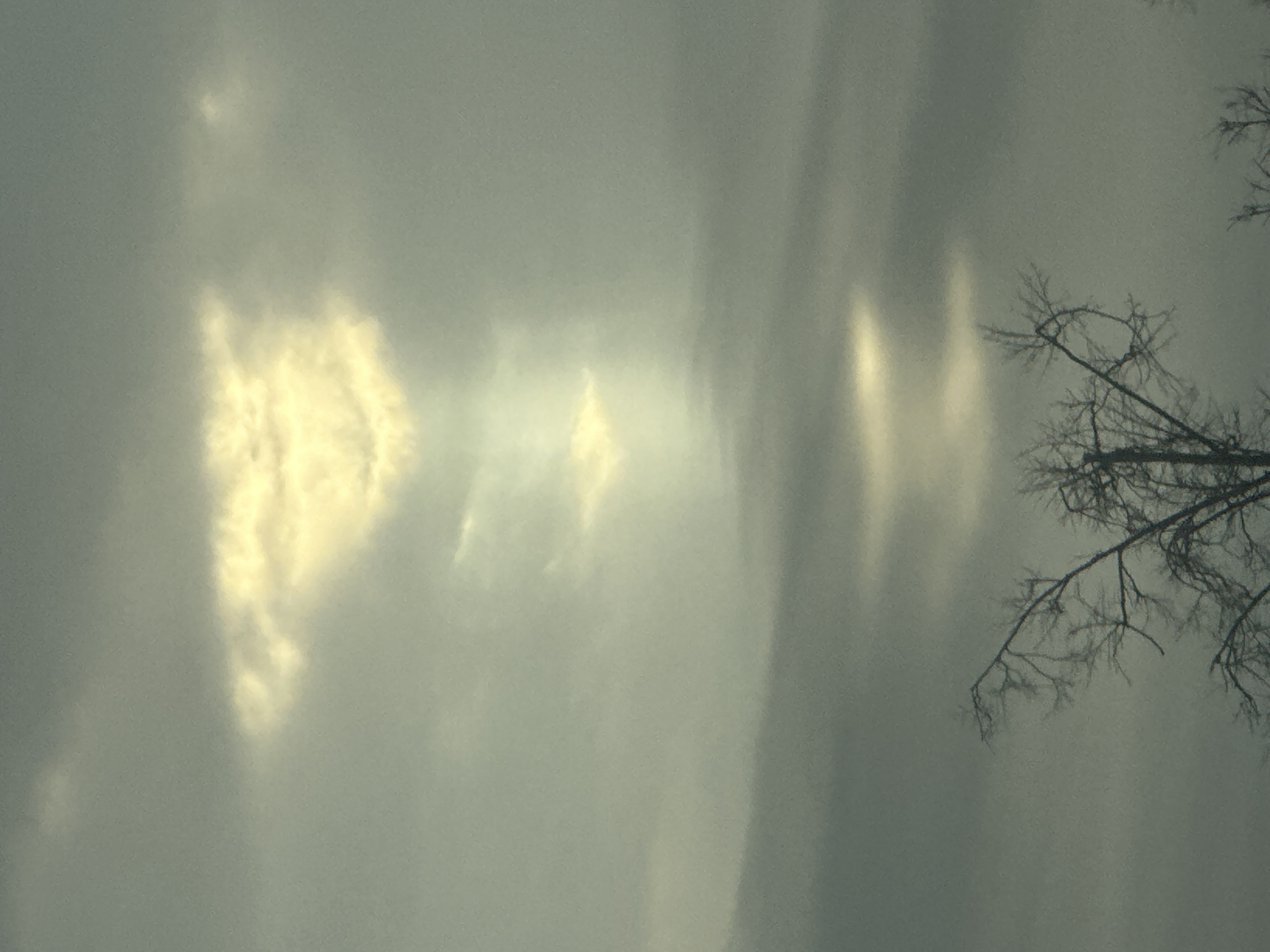 The image shows a winter scene in Votkinsk, Russia. The sky is overcast and grey. Multiple light pillars appear to extend upwards from the horizon. A bare tree branch is visible in the upper right corner. The lighting conditions suggest it is either dawn or dusk.