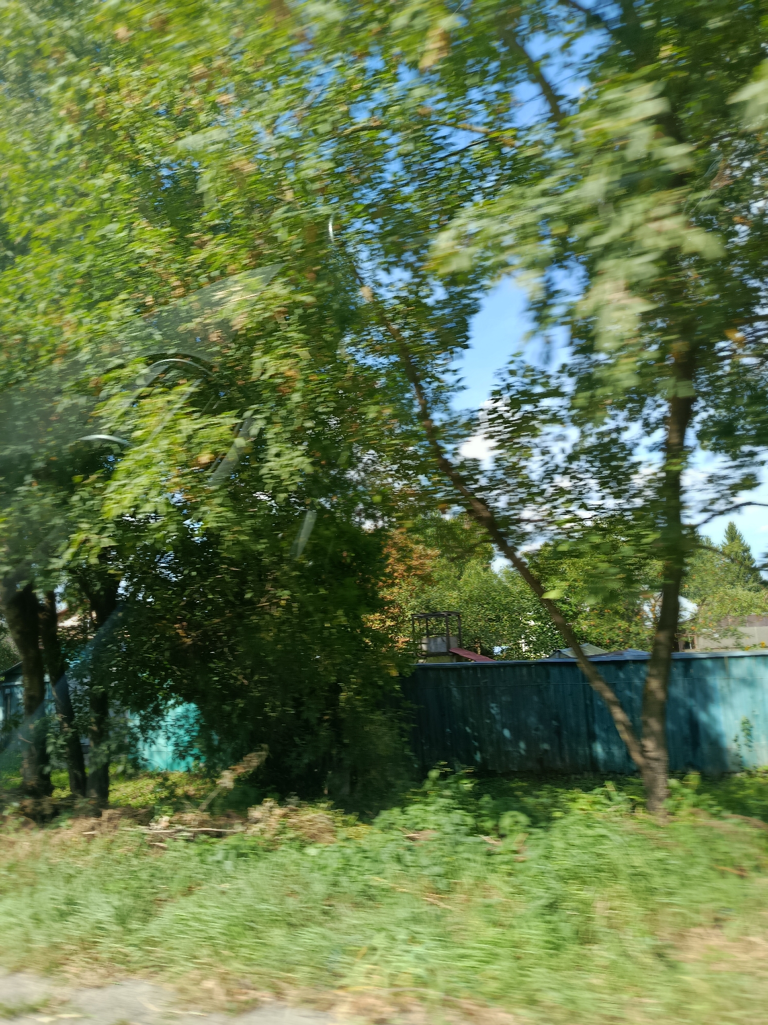 This is a motion-blurred photograph taken from a moving vehicle, likely a car, on a sunny day in the village of Тополиный, Russia. The scene depicts a residential area with dense green foliage, including large trees with visible branches and leaves, dominating the foreground and midground. Behind the trees, a long, teal-colored fence runs horizontally across the image, suggesting a property boundary or a backdrop to a yard. The fence appears to be made of wooden planks and shows some signs of wear. Beyond the fence, hints of houses and other structures are visible, along with more trees and a patch of bright blue sky with a few scattered white clouds. The ground in the foreground is covered in lush green grass and some dry, fallen leaves or debris, indicating an outdoor, natural environment. The motion blur gives the image a dynamic, ephemeral quality, emphasizing the passage of time and the speed of the viewer's movement through the scene. There are no people or specific actions clearly discernible due to the blur. The overall impression is one of a sun-drenched, rural or suburban landscape.