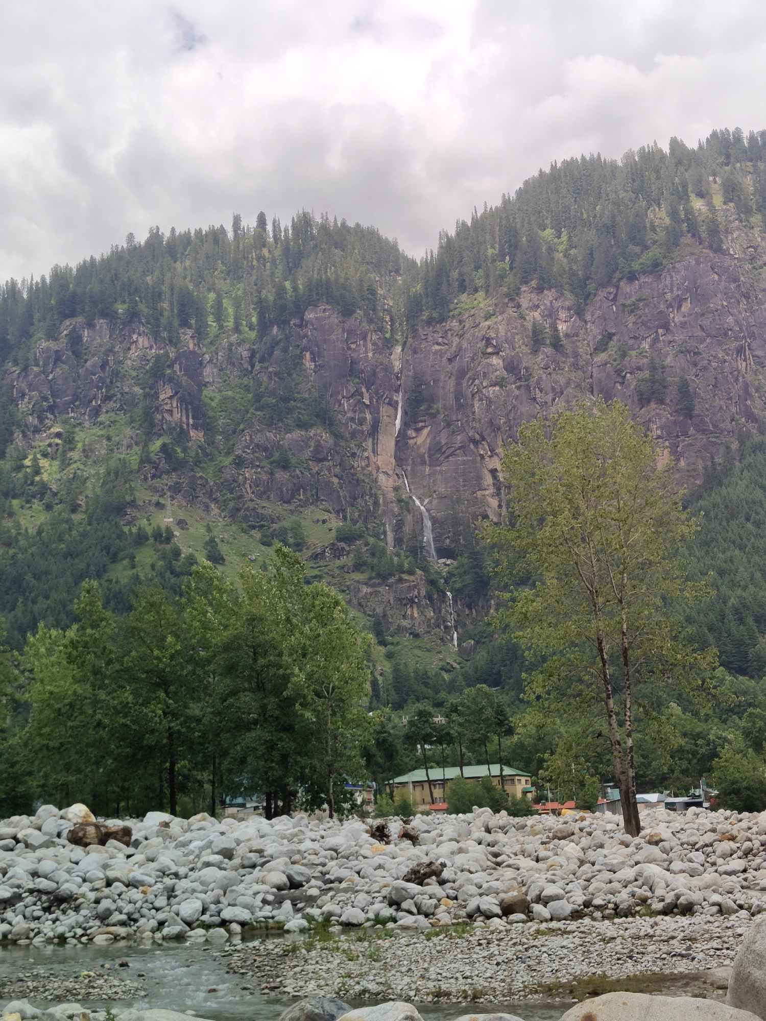 This is a vertical, medium shot of a mountainous landscape in Goshal, India, with a waterfall cascading down a steep, rocky cliff face. The cliff is covered in patches of green vegetation and dark rock. Above the cliff, a dense forest of evergreen trees covers the slope. The sky is overcast with thick, grey clouds. In the foreground, a riverbed is filled with numerous smooth, grey and white rocks of various sizes, with the shallow, clear water flowing over some of them. To the left, a cluster of mature green trees stands near the riverbank, partially obscuring some buildings in the midground. These buildings, with light yellow walls and green roofs, appear to be part of a small settlement nestled at the base of the mountain. A single, slender deciduous tree with light green foliage stands in the middle ground, between the riverbed and the waterfall. The overall scene depicts a natural, rugged environment with a hint of human habitation.
