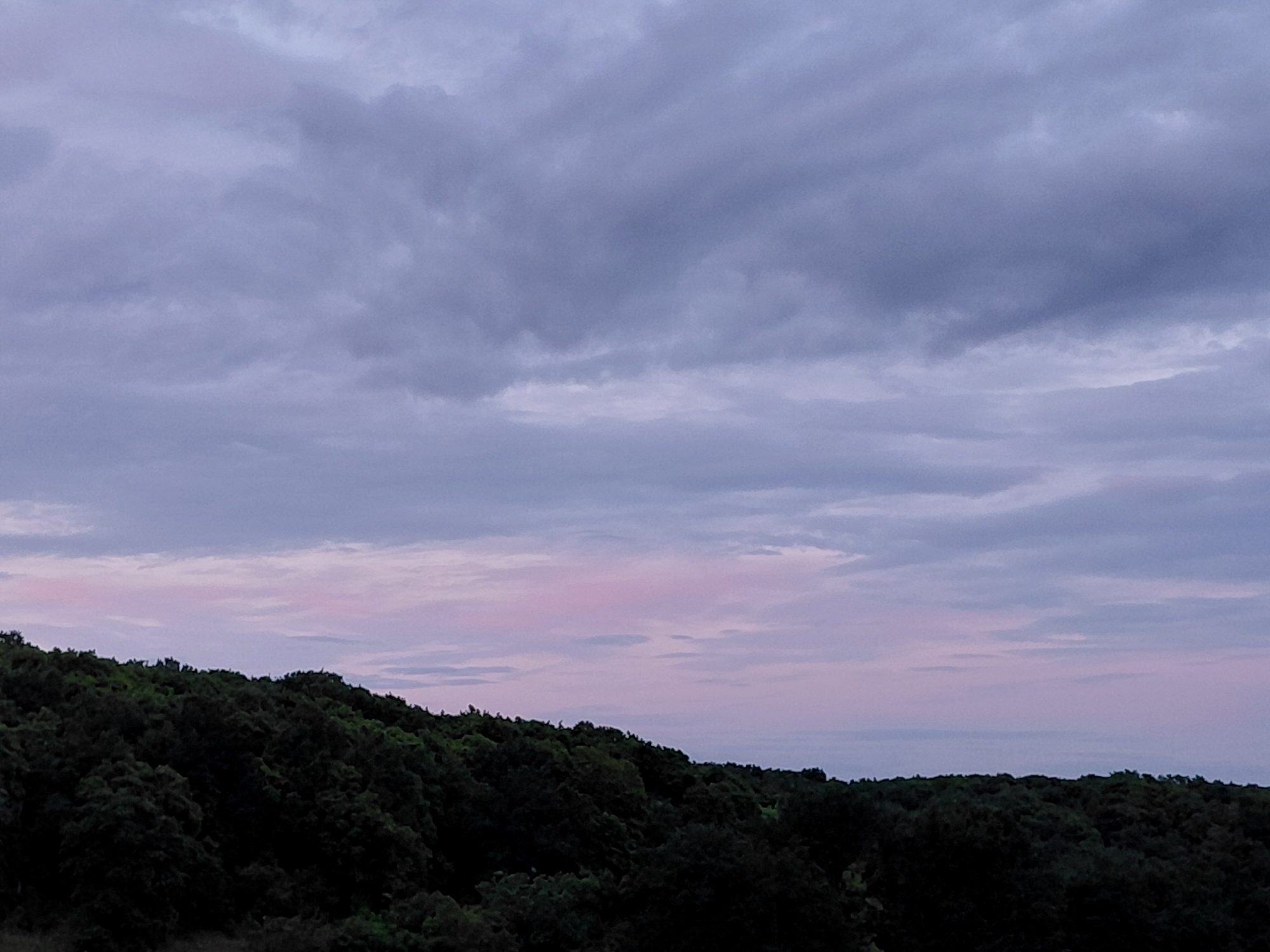 The image shows a wide shot of a forested hillside under a cloudy sky. The trees are dark green and form a dense canopy, with the top of the hill visible as an undulating line against the sky. The sky is filled with layers of grey and purple clouds, with hints of pink and light blue near the horizon. There are no people or visible structures in the image. The scene appears to be a natural landscape, likely captured during twilight or early morning. This scene is not specific to any location in Novokuybyshevsk, Russia, and it depicts a generic natural environment.