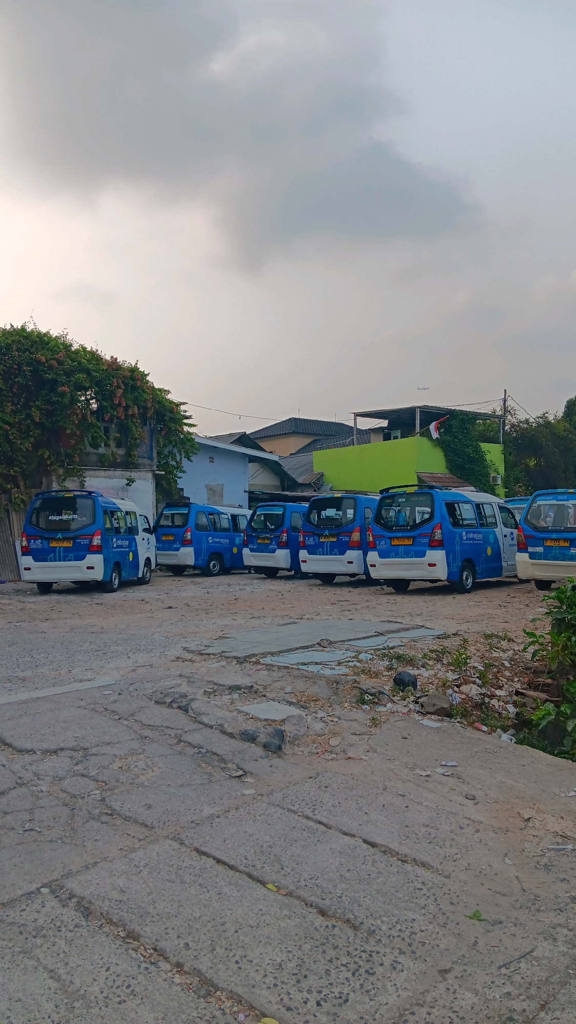 In Depok, Indonesia, a row of blue and white microbuses with the "Mikrotrans" logo is parked on a dirt and concrete lot. The buses are lined up facing right, with one bus slightly separated from the others on the far left. A lush green tree with pink flowers cascades down the left side of the frame, partially obscuring a light blue building. Behind the buses, houses with dark roofs and a bright green building with a red and white Indonesian flag are visible. The sky is overcast with grey clouds, and a distant airplane is visible. The ground in the foreground is a mix of cracked concrete and dirt, with debris scattered around. The scene appears to be an outdoor parking area or depot for public transportation.