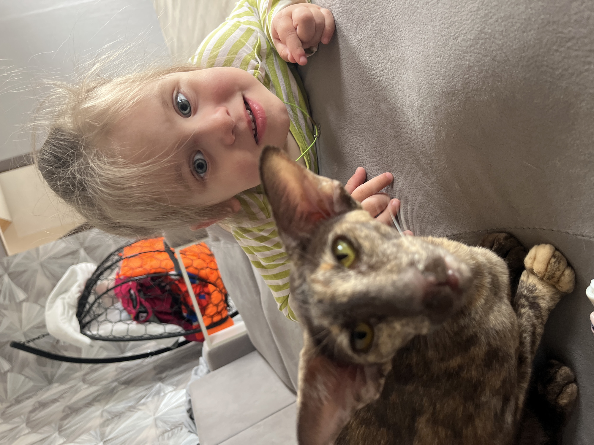 An indoor, tilted, eye-level photograph captures a playful interaction between a young child and a cat in a home setting in Chaikovsky, Russia.
The primary subjects are a toddler or preschool-aged child with blonde hair and wide blue eyes, and a domestic cat with distinctive large ears, green eyes, and a mottled or tortoiseshell coat pattern. The child, wearing a green and white striped long-sleeved top, is positioned on the left side of the frame, peeking over the top edge of a grey sofa or couch. They are looking directly at the camera with a curious or playful expression, a slight smile revealing small teeth. Their left hand is visible, resting on the couch.
The cat occupies the right side of the frame, closer to the camera and slightly out of focus, suggesting a narrow depth of field. Its head and a portion of its body are visible, with its front paws seemingly resting on the couch. The cat's large ears point upwards, and its bright green eyes are alert.
In the background, to the lower left, a portion of what appears to be a light-colored, patterned rug or floor is visible. Behind the child, a black mesh basket containing brightly colored items, possibly toys or clothes in orange and pink hues, can be seen.
The image is brightly lit, suggesting it was taken during the day or in a well-lit interior. No specific time of day or outdoor weather conditions can be discerned. There is no visible text in the image. The overall mood conveyed is one of domestic warmth and curiosity, highlighting the bond between the child and pet.