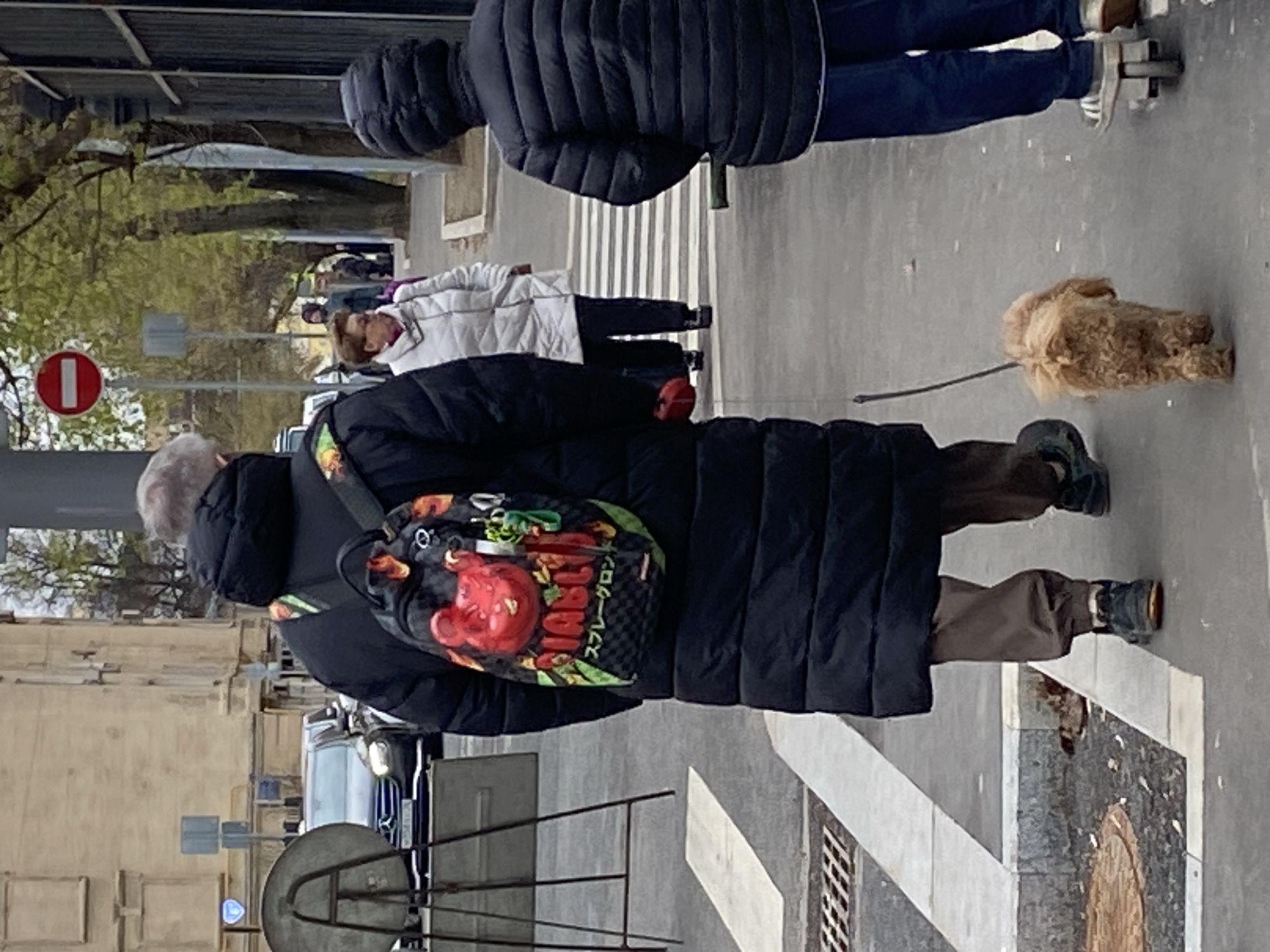 The image captures a daytime street scene in an urban environment under an overcast sky. The perspective is from behind and slightly above two main individuals.
In the immediate foreground, a person with short, light-colored hair wears a long black puffer coat, dark pants, and light brown boots, walking away from the camera. They carry a black backpack adorned with a colorful design featuring a large, stylized red character (possibly a tomato or similar fruit) with green leaves. Visible Japanese text on the backpack appears to read "スプレーグロン" (Supureeguron), and some English text like "SPRAY" is also present within the design. This person is holding a leash, guiding a small, light brown, fluffy dog that walks ahead of them on the concrete sidewalk.
Further into the scene, another individual in a white quilted jacket and dark pants is walking. To the far left in the background, a third person, wearing a black puffer coat and blue jeans with white sneakers, is also walking away.
The setting includes a wide sidewalk on the right, a street with a partially visible blue car parked on the left, and buildings lining the street. Trees with green foliage are visible in the background, suggesting the season is either spring or early autumn. Key street elements include a prominent red and white "no entry" sign on a pole, other street signs with blue circular elements, and several manhole covers embedded in the pavement. The overall activity depicts people walking their dog and moving along a city street.