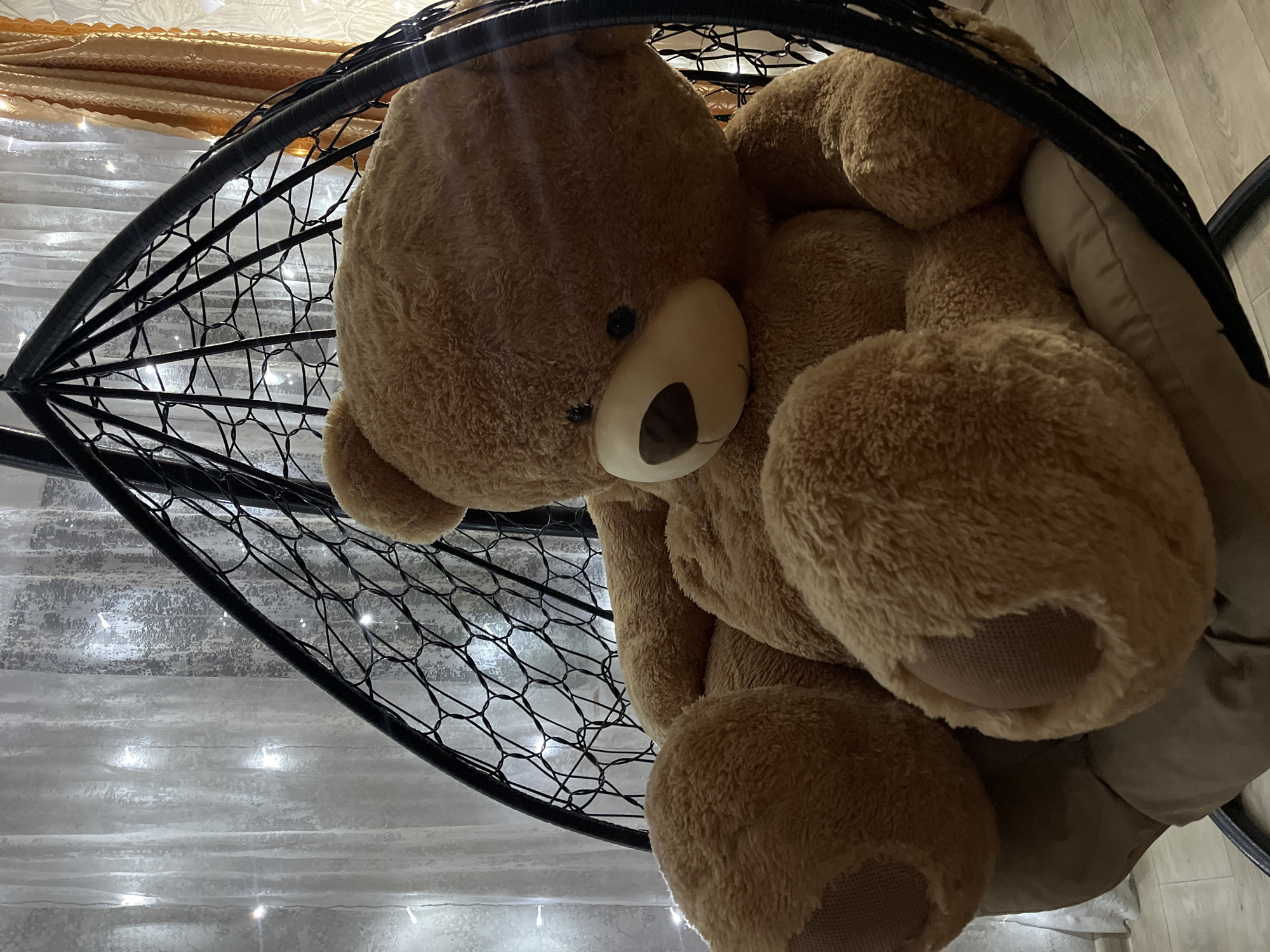 A large, brown teddy bear is nestled within a black, wire-frame hanging chair. The chair is positioned near a window covered with sheer, light-colored curtains, with string lights visible behind them. The location cannot be determined to be Novopokrovskaya, Russia from the provided image.