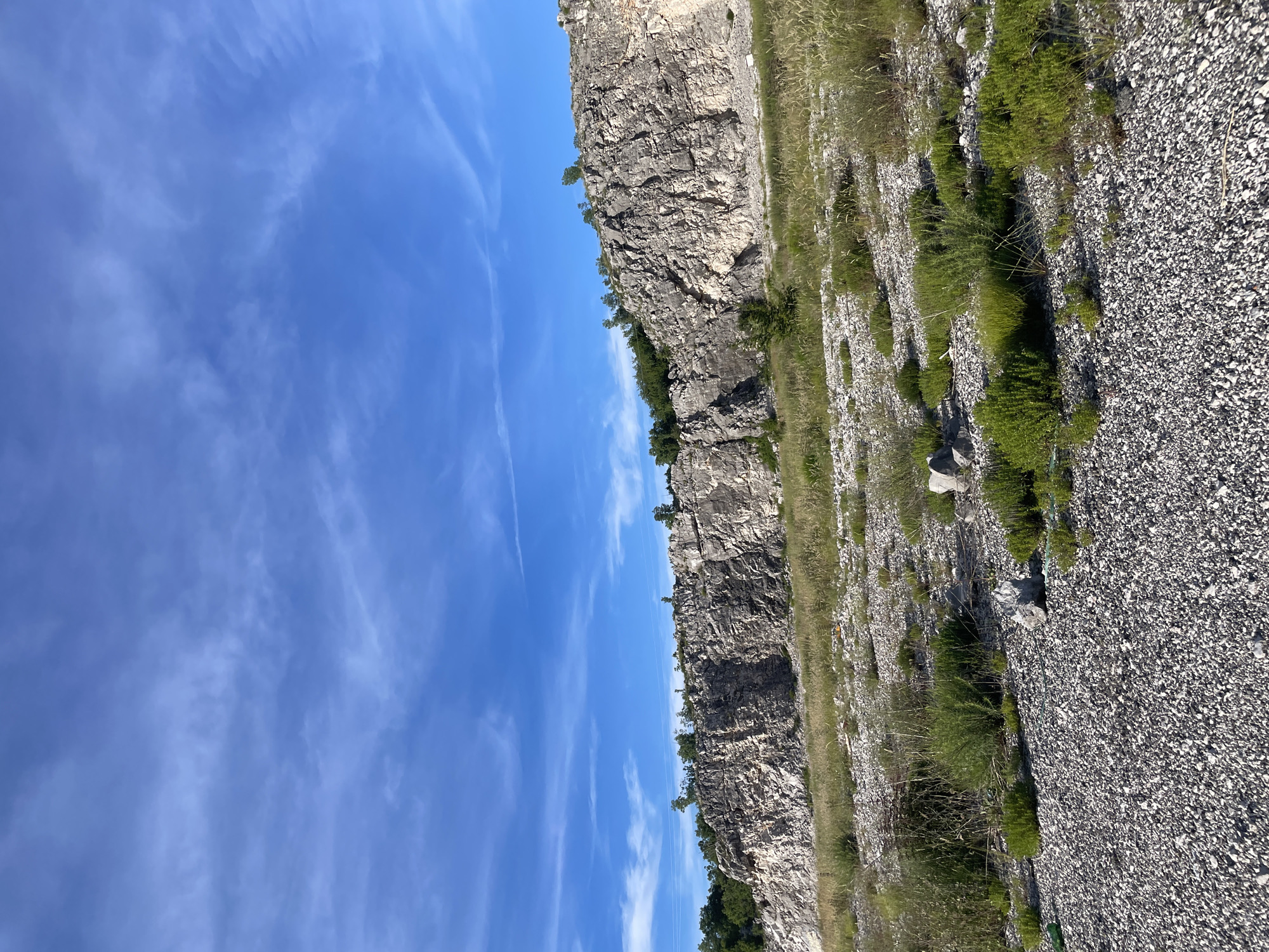 The image depicts a quarry in the city of Vrela, Montenegro. A large, layered rock face dominates the mid-ground, characterized by rough, weathered textures and varying shades of grey and white. The top of the quarry is lined with scattered green trees and shrubs. In the foreground, a gravelly expanse is dotted with patches of dry grass, small green bushes, and a few scattered rocks. The sky above is a vibrant blue, streaked with wispy white clouds. The overall scene suggests a dry, possibly arid environment under a clear sky. There are no people or animals visible in the image.