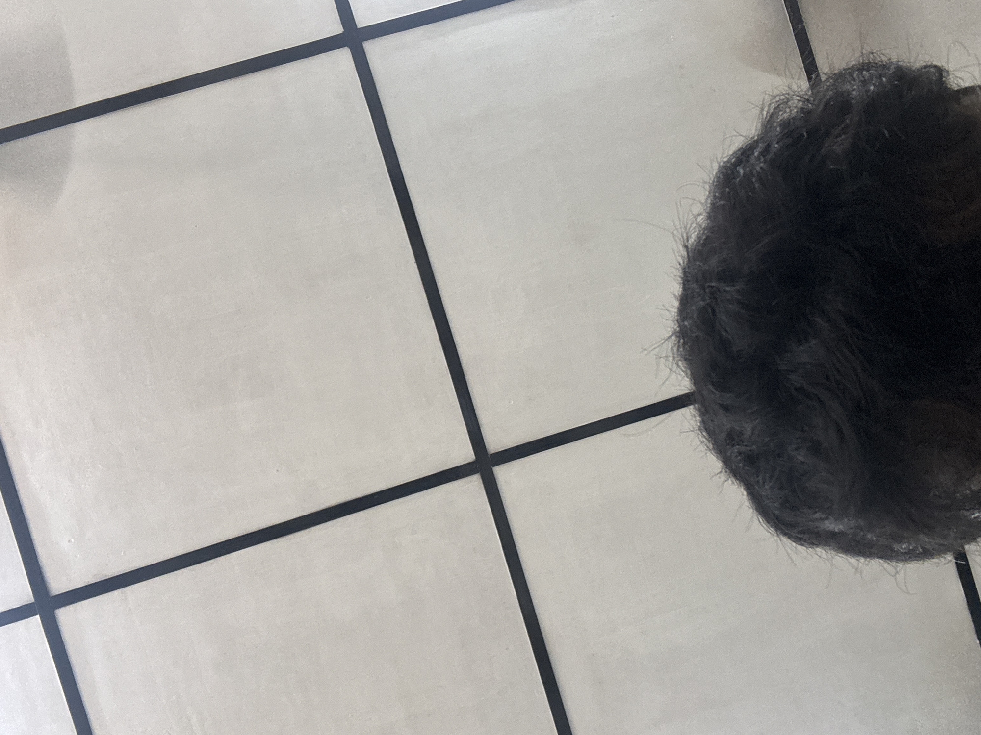 The image shows the back of a person's head with dark, curly hair. The person is facing away from the camera, and only the top portion of their head is visible. The background consists of a light-colored, tiled surface divided by thin black lines. The tiles appear to be smooth and matte. The lighting suggests an indoor environment, possibly a ceiling or a wall with a grid pattern.