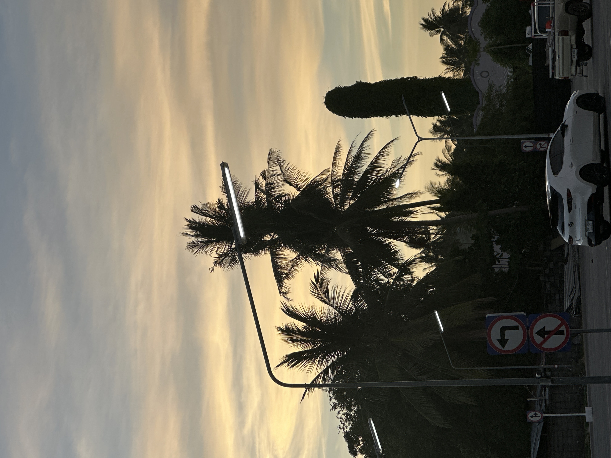 This media file, oriented vertically, captures a twilight scene in Ko Pha Ngan, Thailand. Silhouetted against a pale yellow and grey sky are the fronds of several palm trees, their feathery leaves suggesting a tropical environment. Two streetlights with long, thin lamps are visible, one in the foreground and another further back, casting a subtle glow.
In the background, a distinctive, dark green, columnar tree stands tall, resembling a topiary or a very dense, elongated hedge. Beyond this, a white car is parked on the right side of the image. Next to it, a white pickup truck is also visible. Closer to the palm trees, there are road signs. One sign indicates a left turn, while another shows a red circle with a diagonal line through a left arrow, signifying "no left turn." Another smaller sign below shows a single arrow pointing left.
The time of day is clearly evening or early morning, indicated by the soft, diffused light and the warm hues in the sky, characteristic of sunset or sunrise. The presence of palm trees and the Thai license plates on the vehicles firmly place the scene in Thailand, specifically Ko Pha Ngan. There is no discernible human activity, and the overall mood is tranquil and serene, bathed in the fading light. The image focuses on the natural elements of palm trees and the sky, juxtaposed with man-made structures like streetlights and traffic signs.