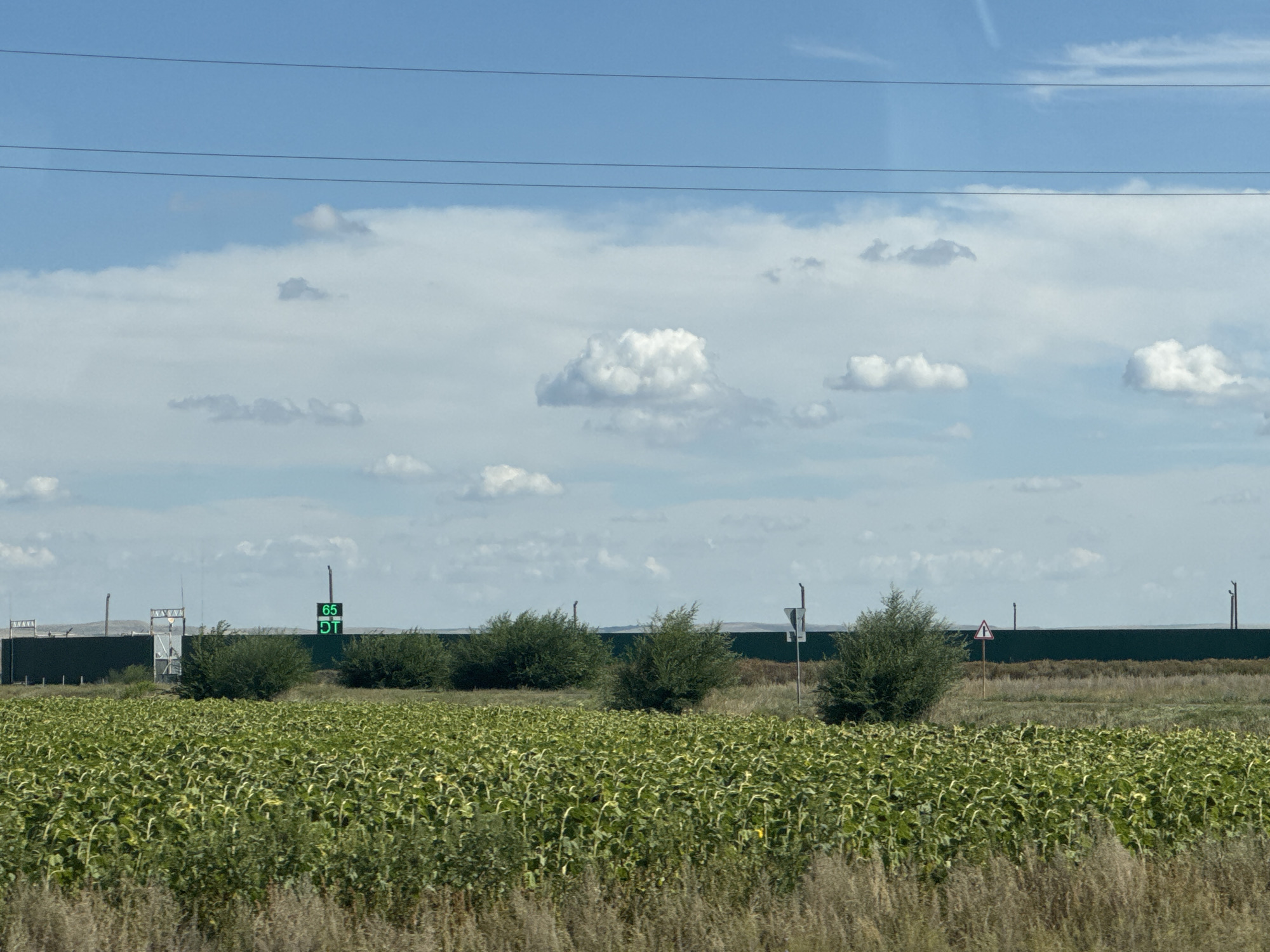 An eye-level, medium shot captures a rural landscape under a partly cloudy sky. In the foreground, a field of green plants, possibly sunflowers, stretches across the frame. Behind the field, a dark green fence runs horizontally, separating it from a sparsely vegetated area with scattered bushes. To the left of the fence, a white structure with a zigzag pattern is visible, and a digital sign displays "65" and "DT" in green characters. To the right of the fence, a red triangular warning sign on a post stands in the grassy area. The background consists of a light blue sky with scattered white clouds and three thin, dark power lines stretching across the upper portion of the image. The scene appears to be located in a rural area of Russia.