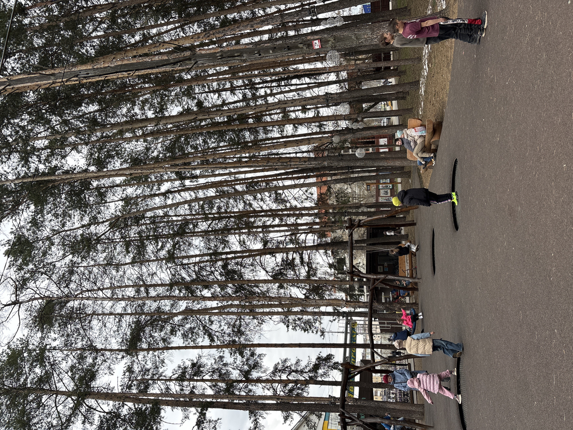 The image depicts a scene at the "Berendeyevo Forest" playground in Neftekamsk, Russia. Tall, thin trees dominate the left side of the frame, creating a dense, forest-like effect. A paved surface runs alongside the trees, where several people are visible. Some individuals are standing, while others are sitting on benches. There are wooden structures present, potentially forming part of the playground equipment. Light fixtures or decorative objects are strung between the trees. A building can be seen in the background, partially obscured by the trees. The overall impression is of a recreational area designed to mimic a forest environment.