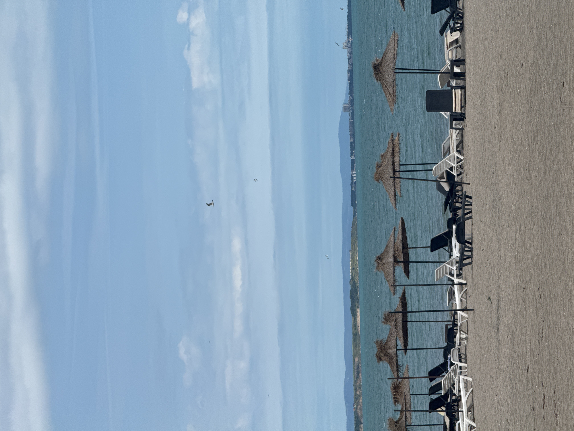 The image depicts a view of the Black Sea coast in Burgas, Bulgaria. In the foreground, a sandy beach is lined with rows of empty lounge chairs and straw umbrellas, suggesting a quiet day. The calm, blue sea stretches to the horizon, where a low-lying coastline with distant buildings and hills is visible. Several birds are flying in the sky. The weather appears to be partly cloudy with a gentle breeze. The scene evokes a sense of tranquility and a typical seaside resort atmosphere.