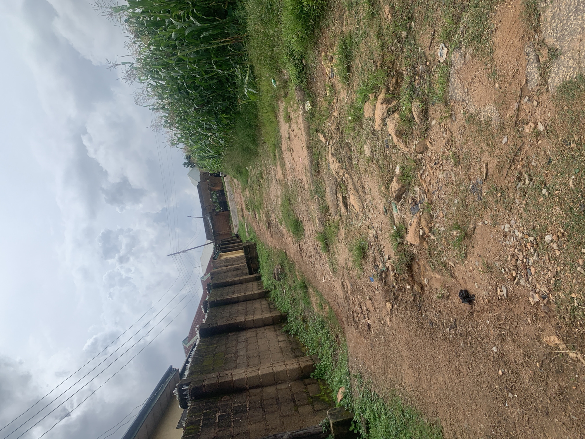 The image depicts a dirt path winding uphill through a residential area in Jos, Nigeria. On the left, a weathered brick wall lines the path, showing signs of moss growth. Beyond the wall, glimpses of buildings and a roof are visible. To the right of the path, a dense field of cornstalks grows tall, reaching towards a cloudy sky. The path itself is uneven, with scattered rocks, debris, and patches of grass. In the distance, power lines stretch across the frame, suspended by a utility pole. The overall scene suggests a rural or semi-urban environment with evidence of agriculture and basic infrastructure.
