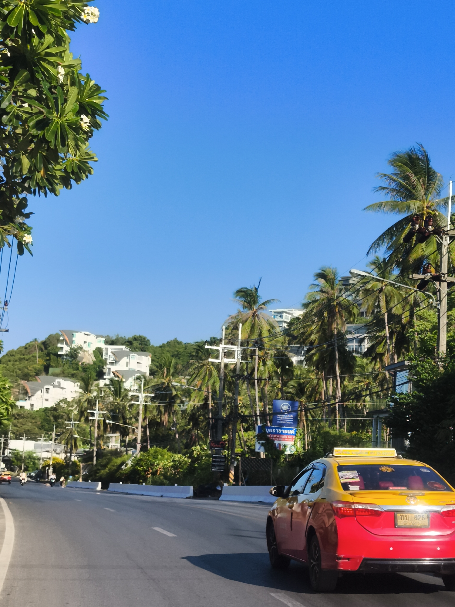 A bright, sunny day on Ko Samui District, Thailand. The scene captures a roadside view with lush greenery and modern white buildings nestled on a hillside. A red and yellow taxi, likely a Toyota Corolla, is driving on the right side of the road. The taxi has a yellow sign on top with text in Thai and English and a license plate that reads "ทบ 828" and a Thai inscription below. There are several utility poles with electrical wires running along the roadside, characteristic of Southeast Asian infrastructure. In the foreground, a portion of a tree with green leaves and white flowers is visible on the left side of the frame, framing the sky. Palm trees dominate the middle ground, interspersed with more buildings and vegetation. The sky is a clear, vibrant blue. The road appears to be a well-maintained asphalt surface with white lane markings. The overall impression is of a tropical urban environment.